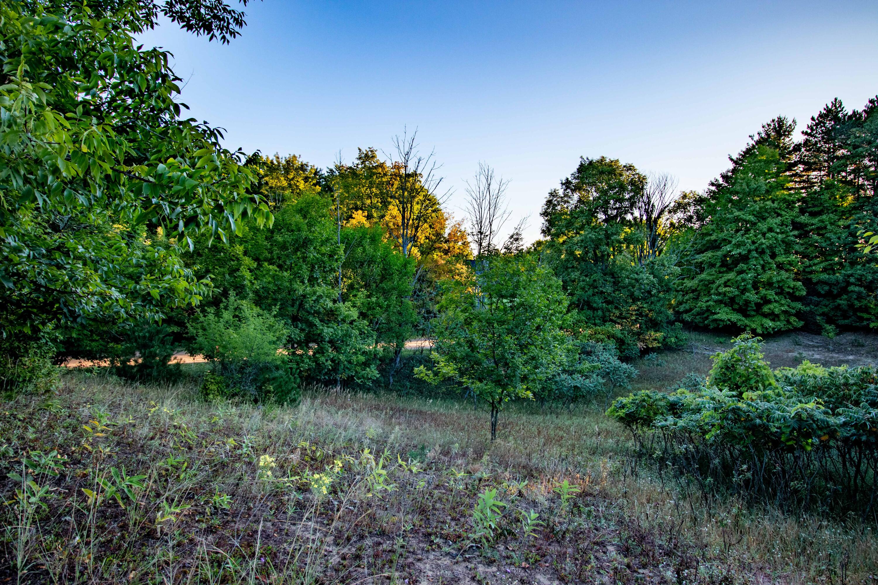 0 West Hazel Road Hart, MI 49420 - Photo 3 of 25 IMG_9240-HDR