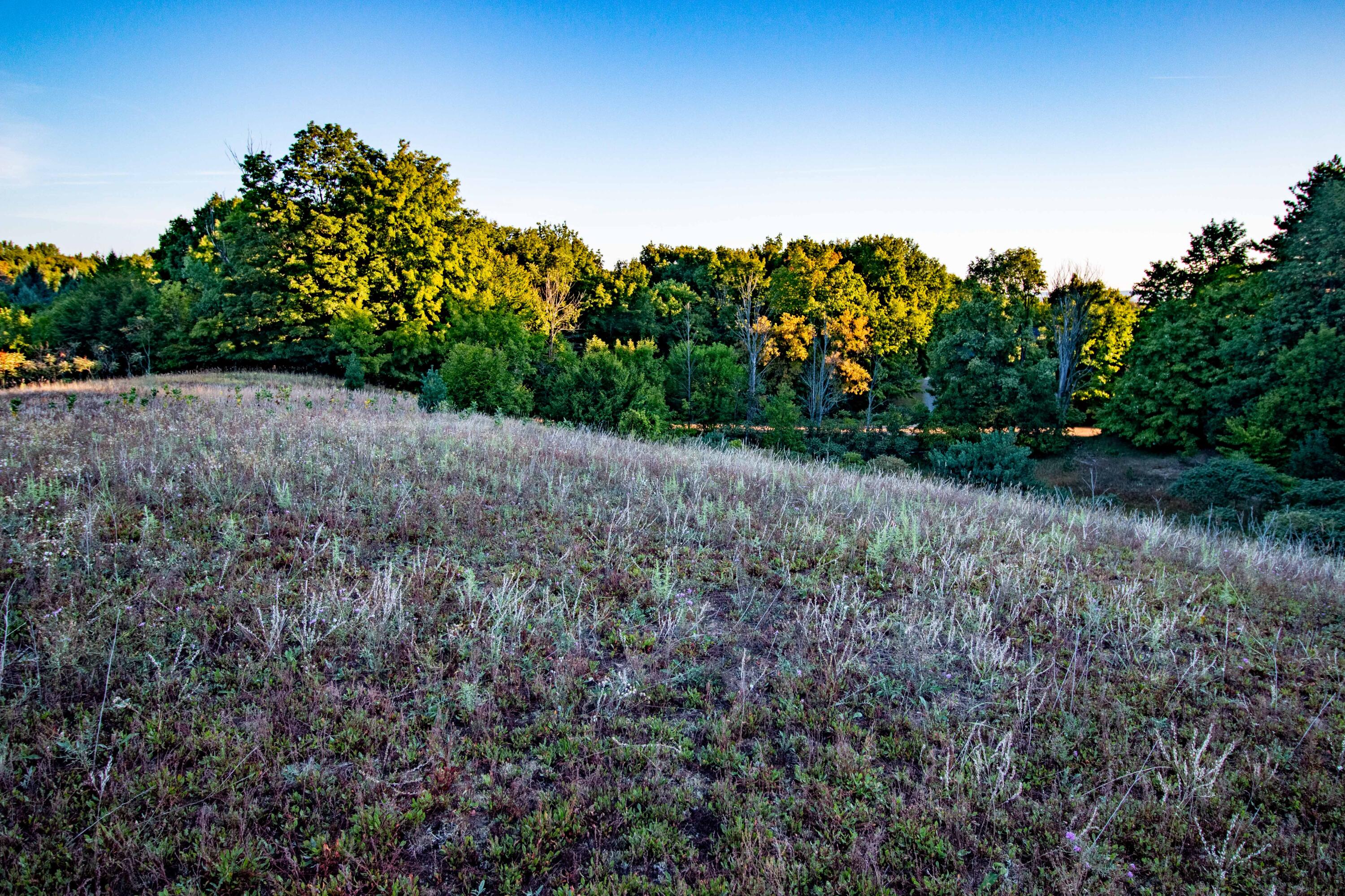 0 West Hazel Road Hart, MI 49420 - Photo 4 of 25 IMG_9252-HDR
