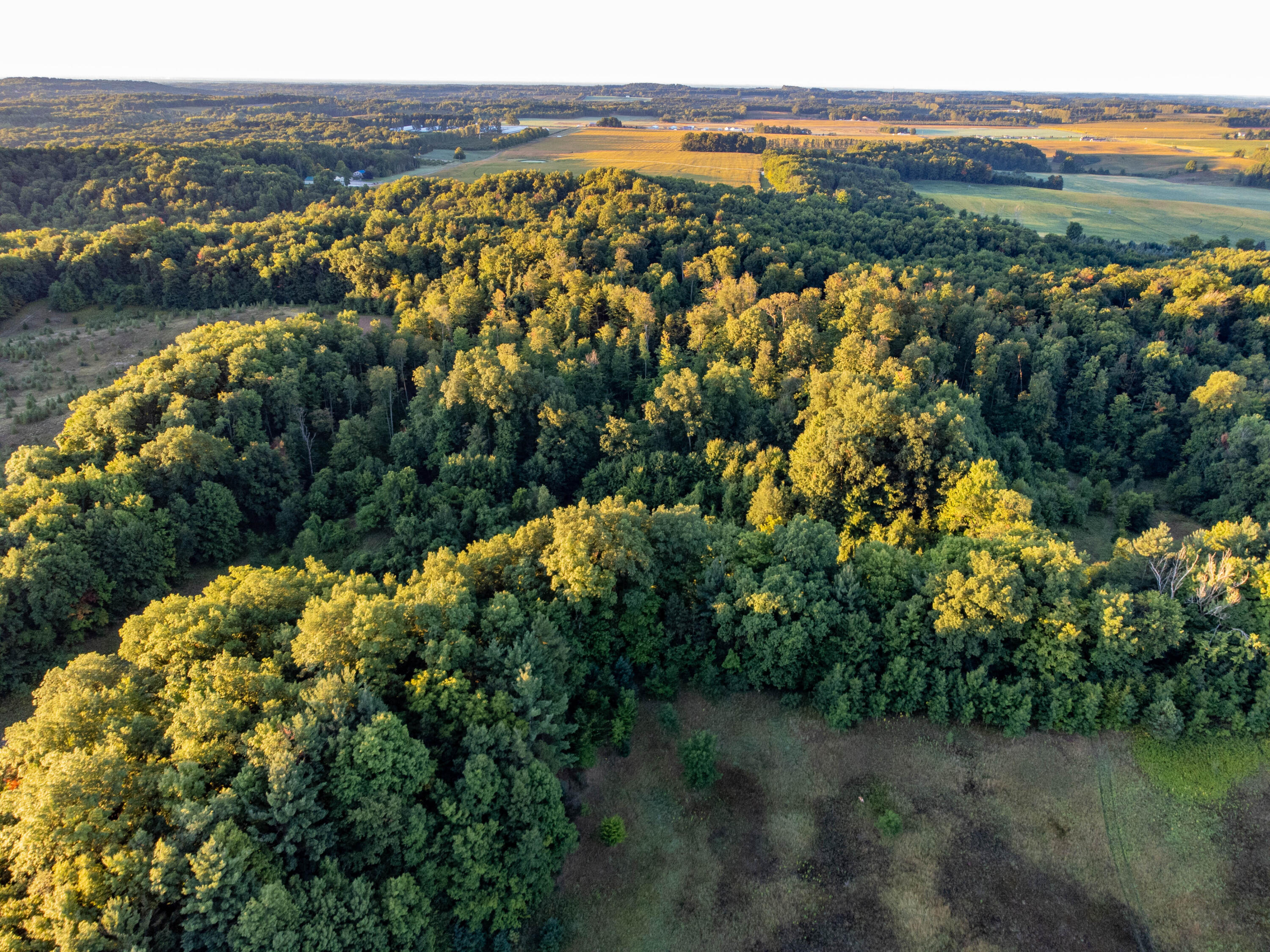 0 West Hazel Road Hart, MI 49420 - Photo 8 of 25 DJI_0634