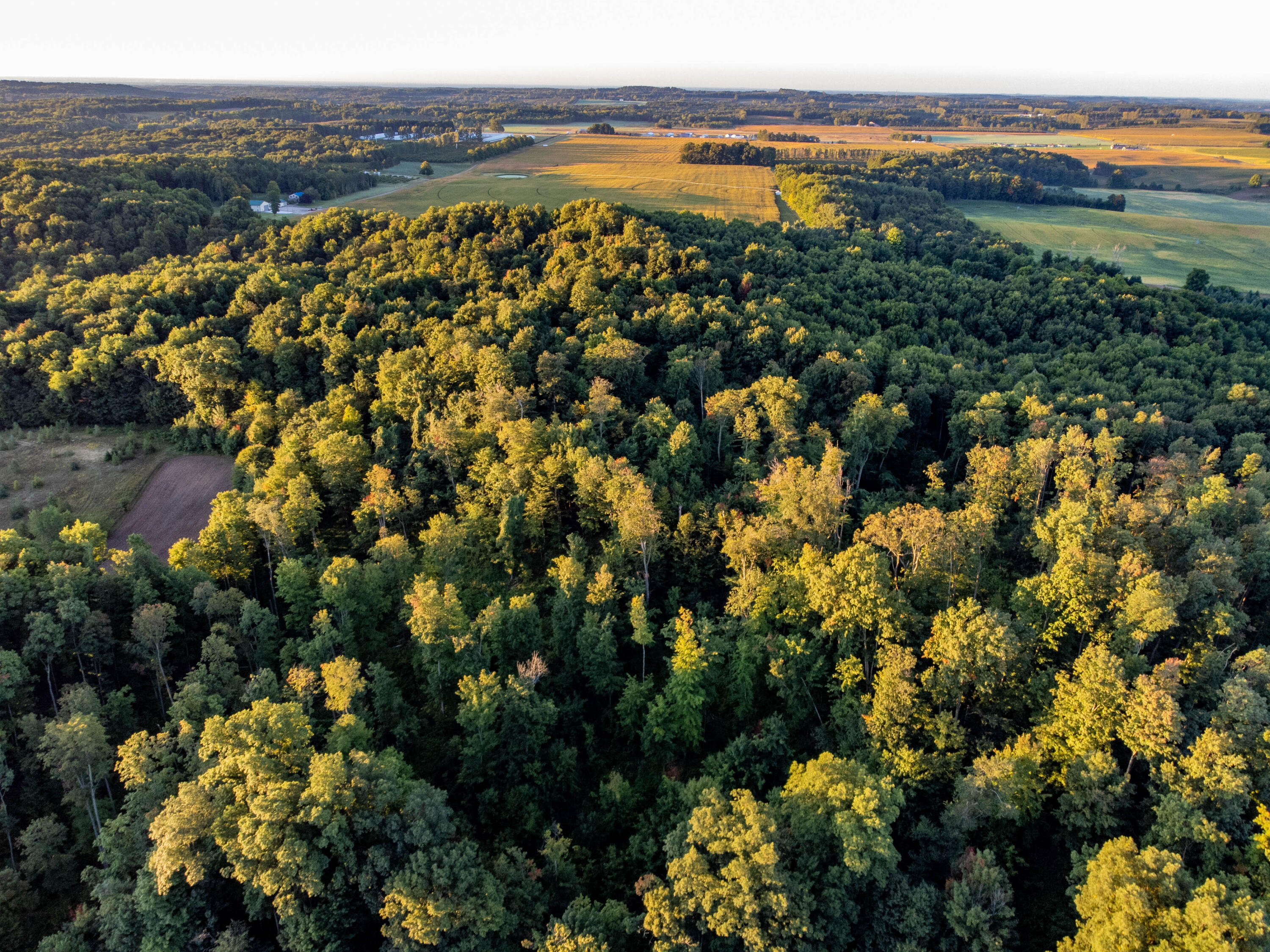 0 West Hazel Road Hart, MI 49420 - Photo 10 of 25 DJI_0636