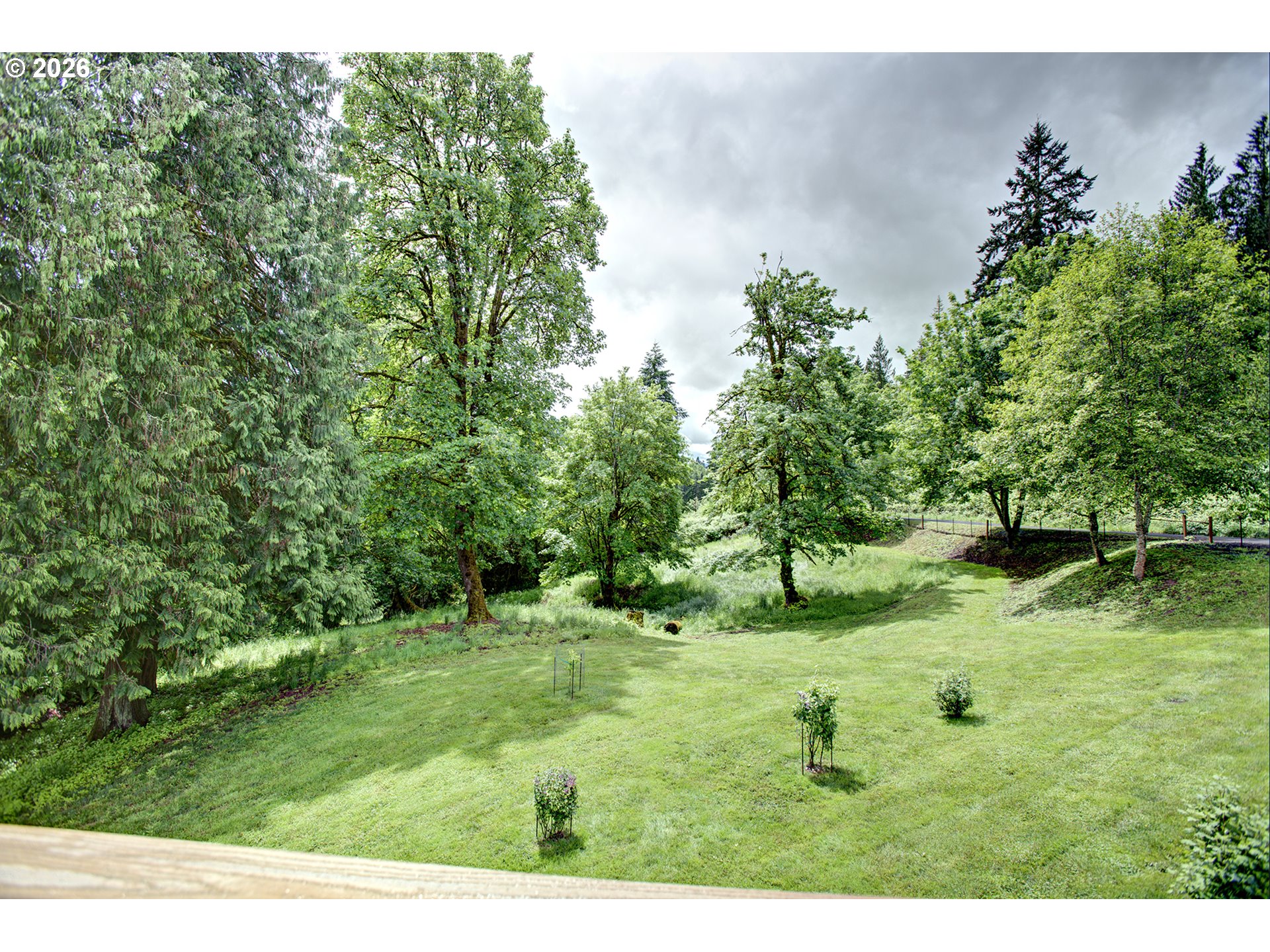 60300 Rays Way St. Helens, OR 97051 - Photo 19 of 41 a grassy field with trees in the background
