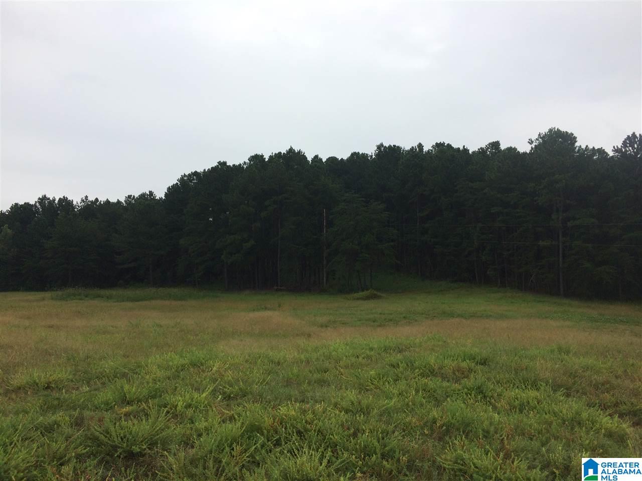 17999 Groundhog Road, Unit 40 Adger, AL 35006 - Photo 8 of 10