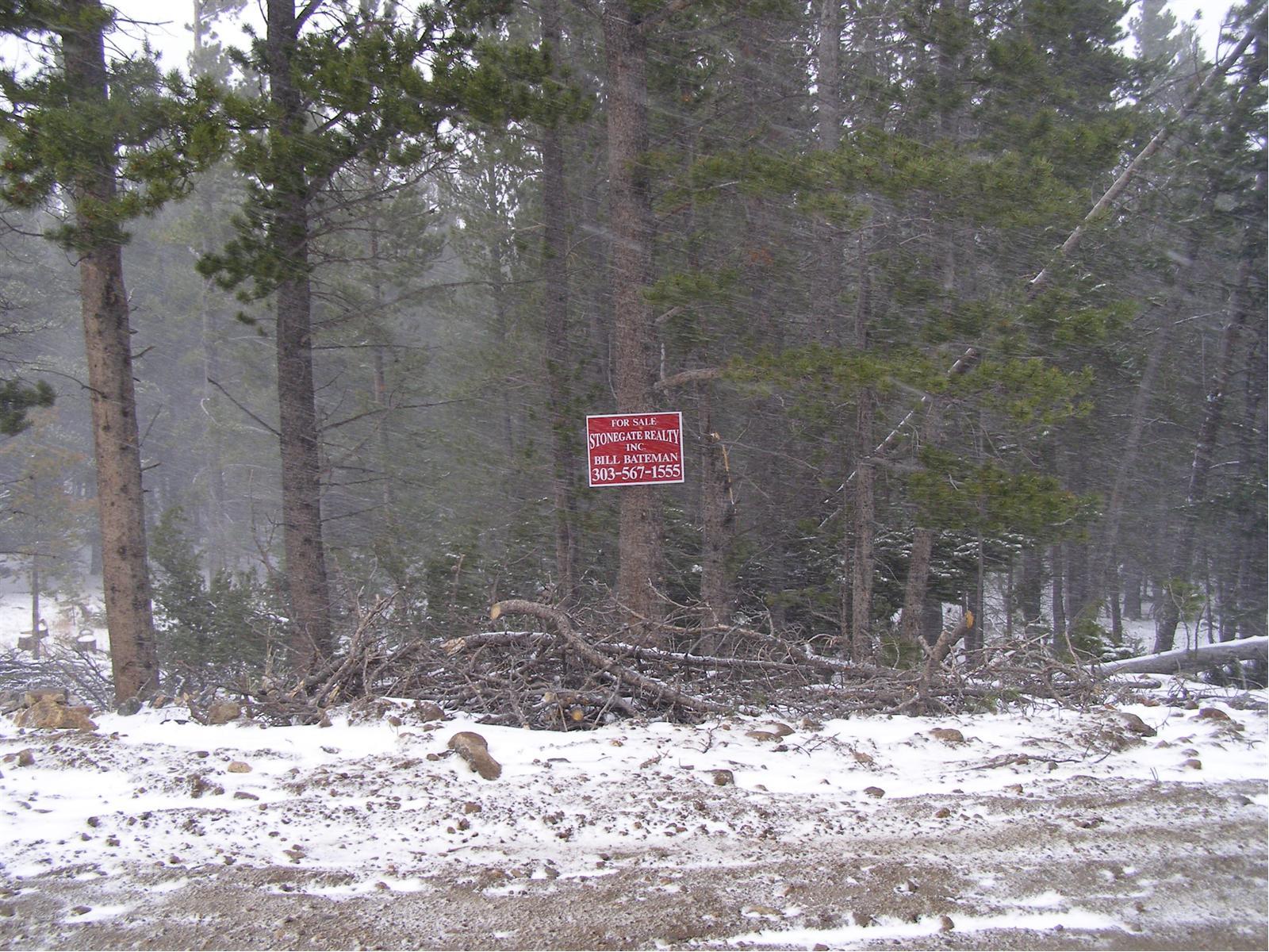 254 Upper Forest Road Idaho Springs, CO 80452 - Photo 8 of 9 Gallery Image 8