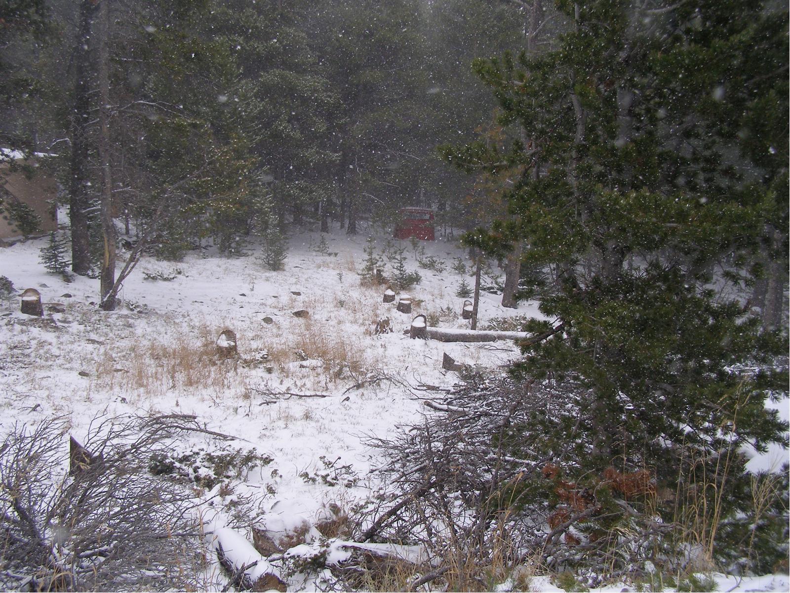 254 Upper Forest Road Idaho Springs, CO 80452 - Photo 9 of 9 Gallery Image 9