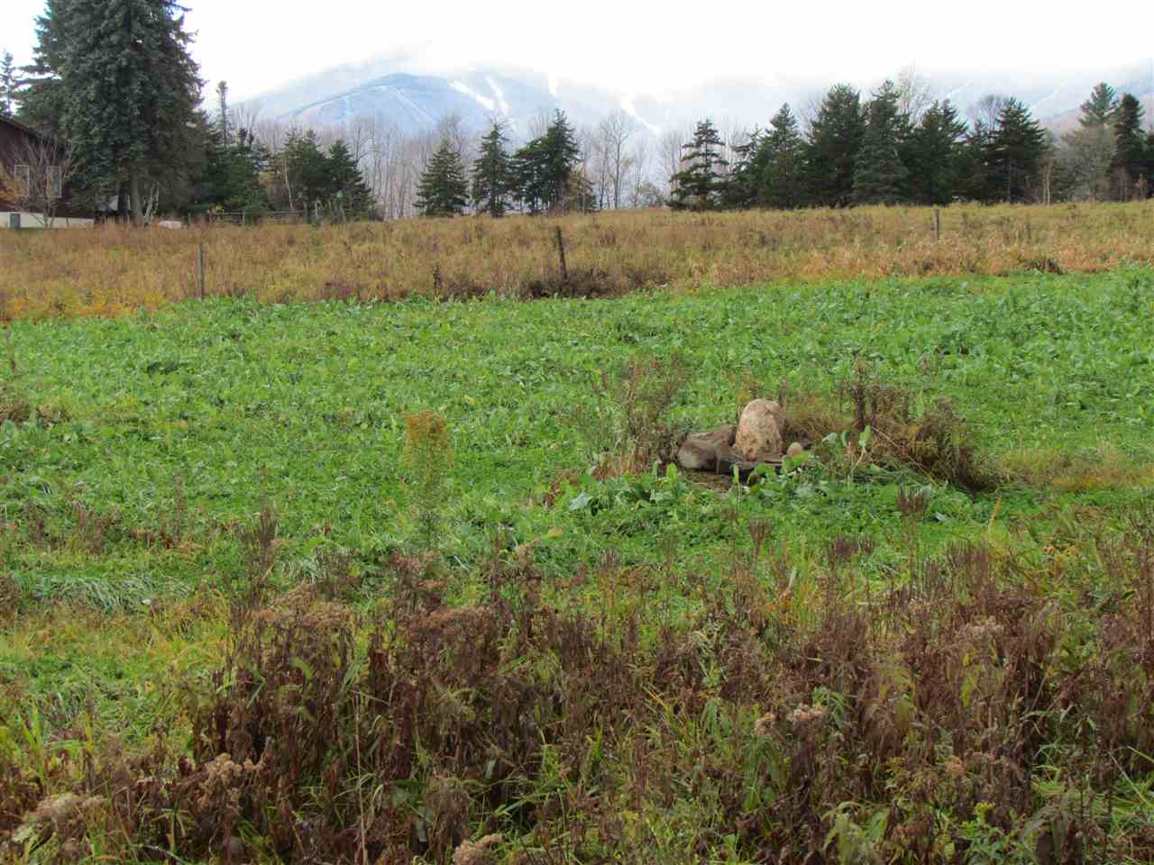 2850 East Warren Road Waitsfield, VT 05673 - Photo 13 of 30