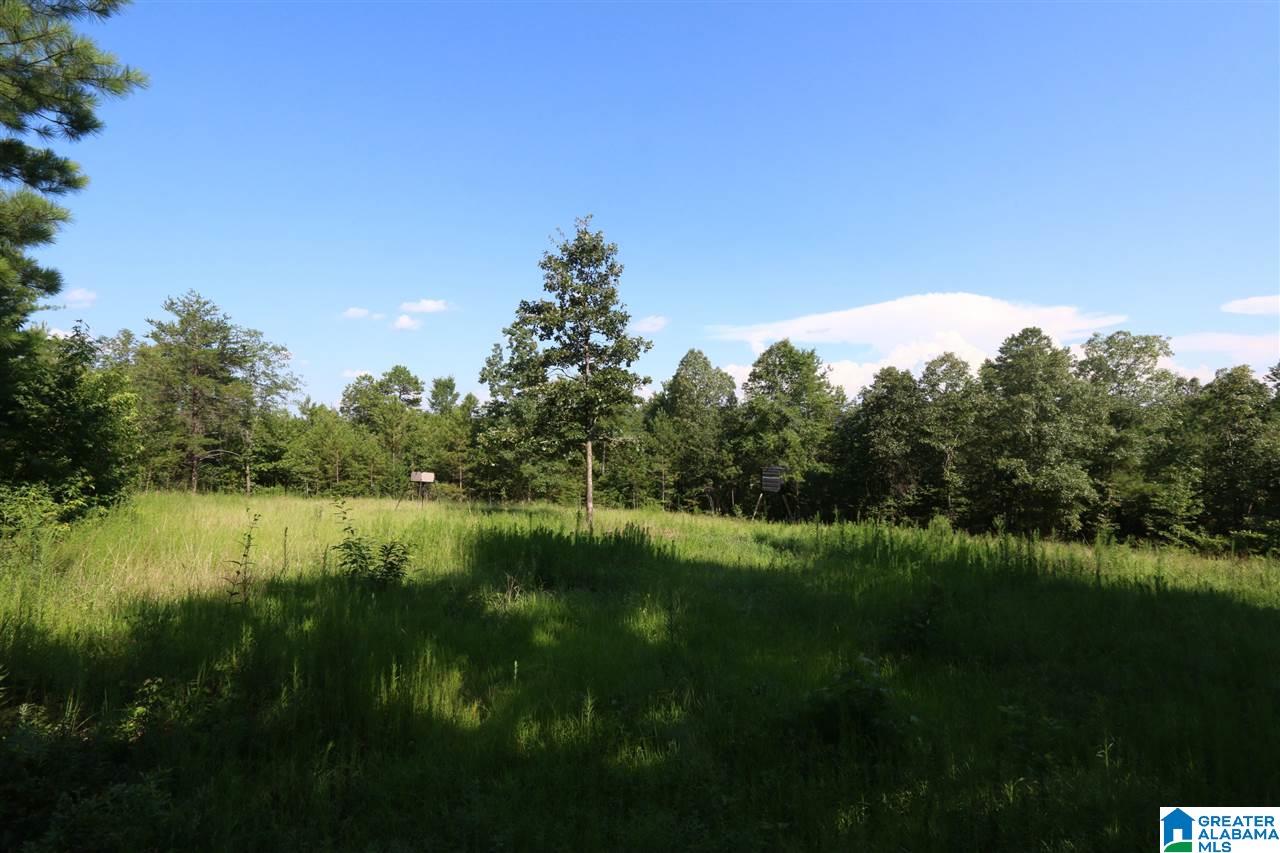 0 Carnes Chapel Road, Unit 113 Gallant, AL 35972 - Photo 27 of 32