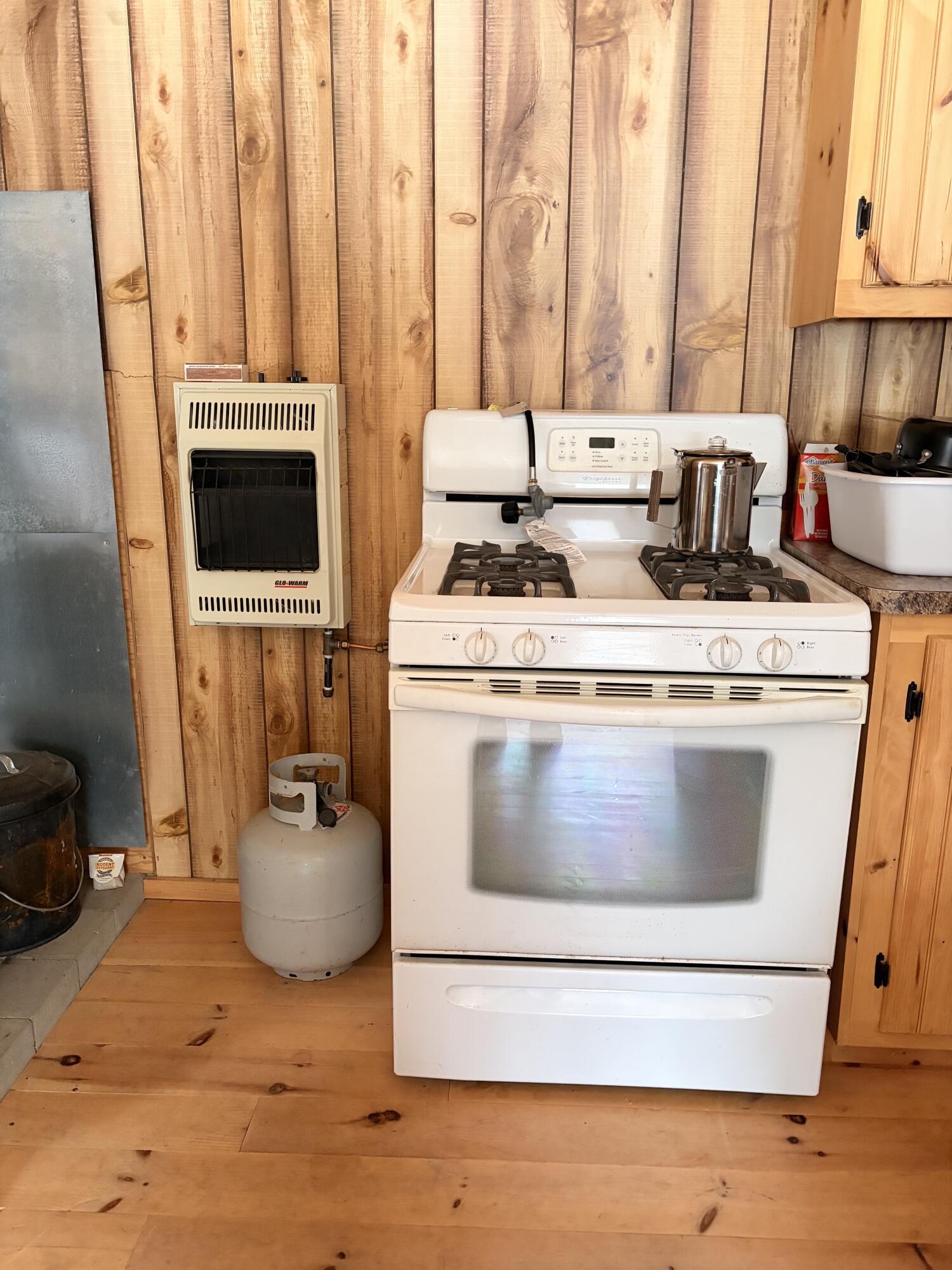 256 Jackson Pond Road Concord Township, ME 04920 - Photo 11 of 11 IMG_0389