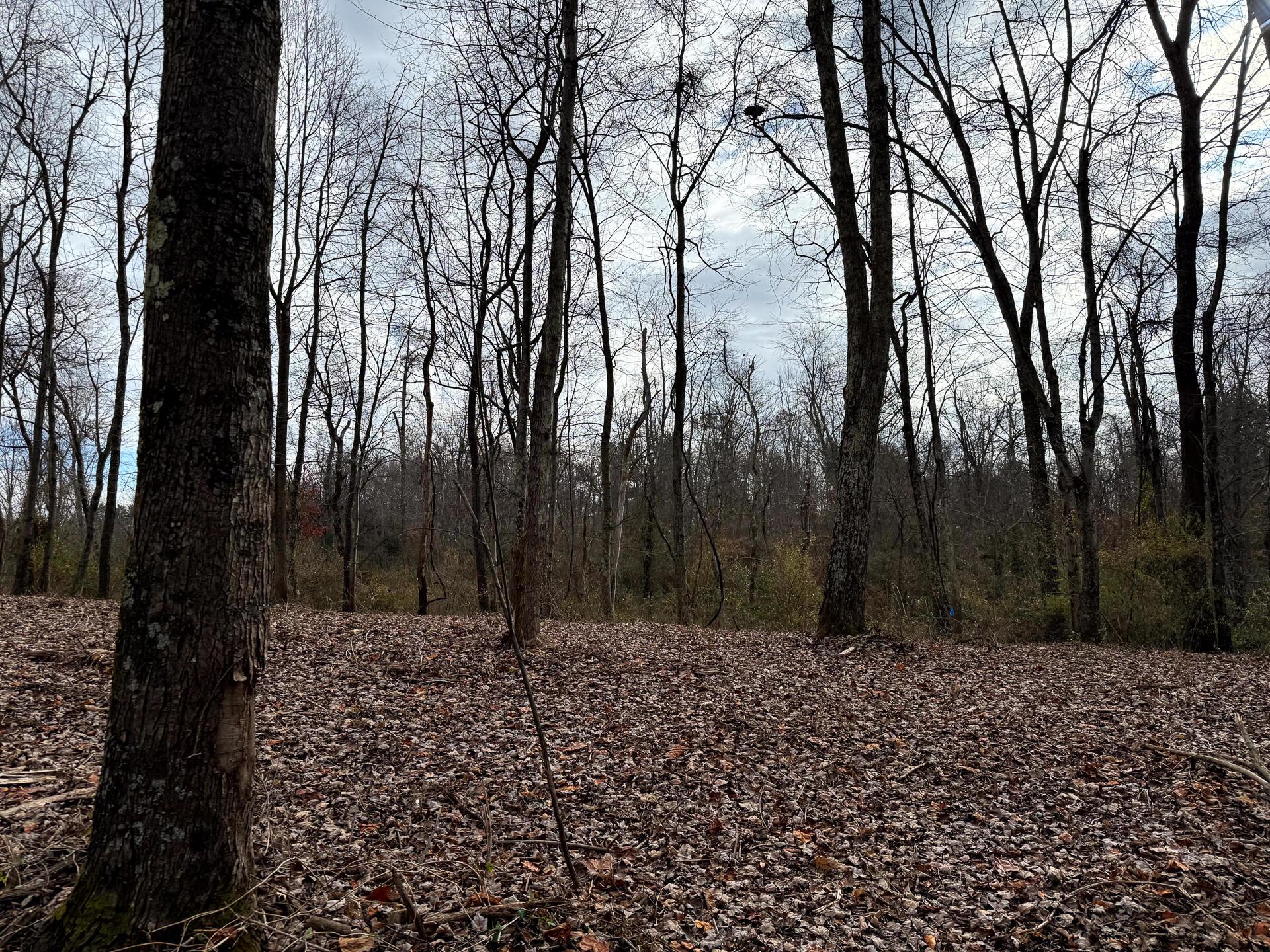 0 Dutch Ridge Road Southeast, Unit WOODS TURKEY RUN TRACT 1) New Lexington, OH 43764 - Photo 25 of 43 CT-25