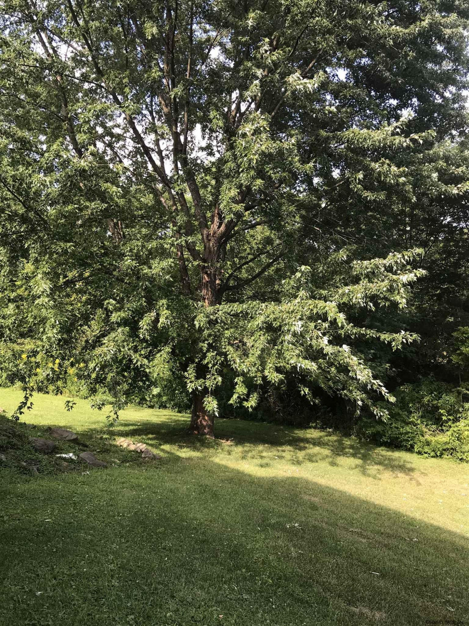 134 Hill Road Seward, NY 12043 - Photo 53 of 63 Photo 53