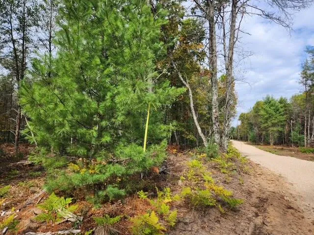 $52,900 | Parcel F Parcel F Tatanka Trail, Baldwin, MI 49304