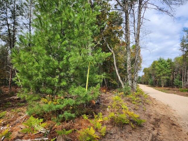 Parcel F Parcel F Tatanka Trail Baldwin, MI 49304 - Photo 2 of 3 IMG_3076