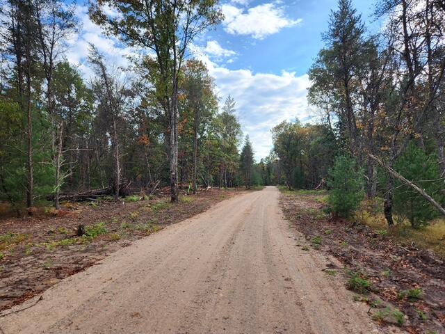Parcel F Parcel F Tatanka Trail Baldwin, MI 49304 - Photo 3 of 3 IMG_3077
