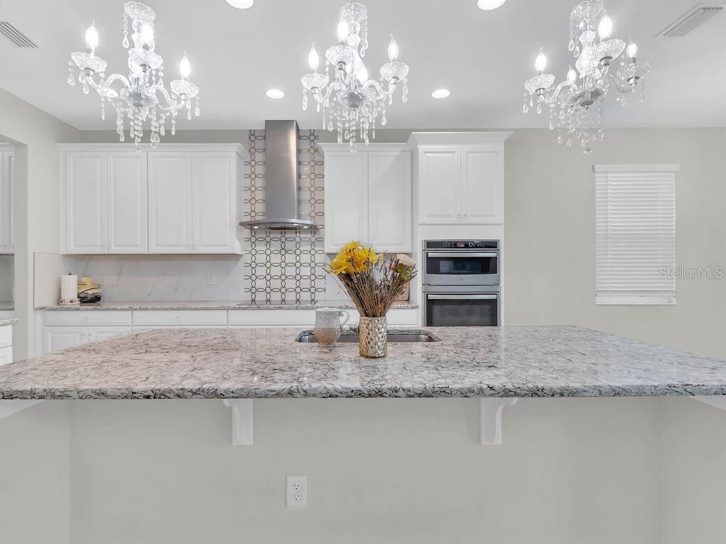 7406 Sweeter Tide Trail Wesley Chapel, FL 33545 - Photo 12 of 74 a view of a kitchen with granite countertop stove top oven a sink and dishwasher