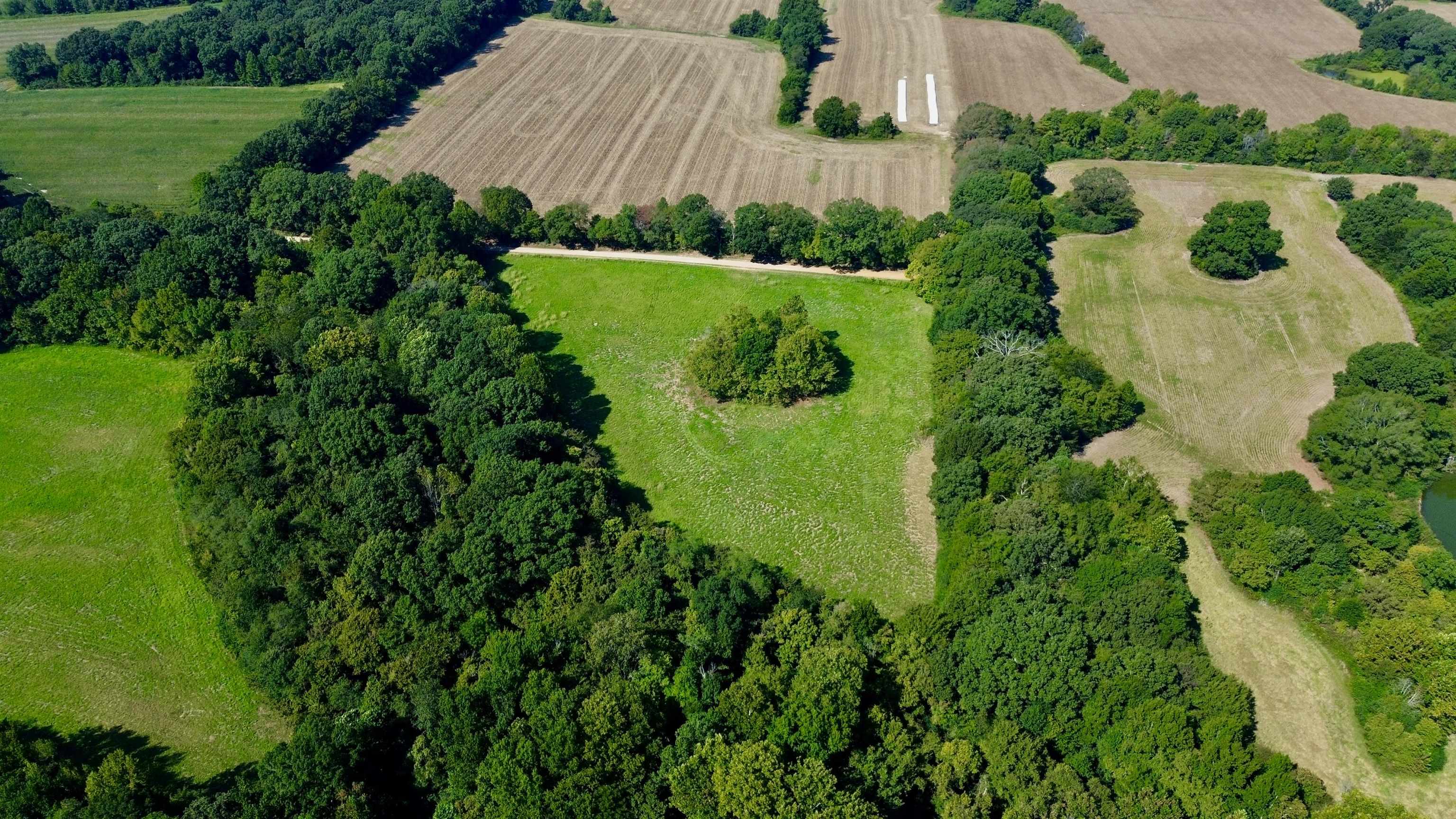 21.10-acres Terry Road Somerville, TN 38068 - Photo 11 of 18 Gallery Image 11