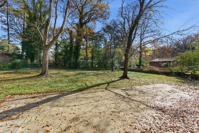 a view of a park with large trees