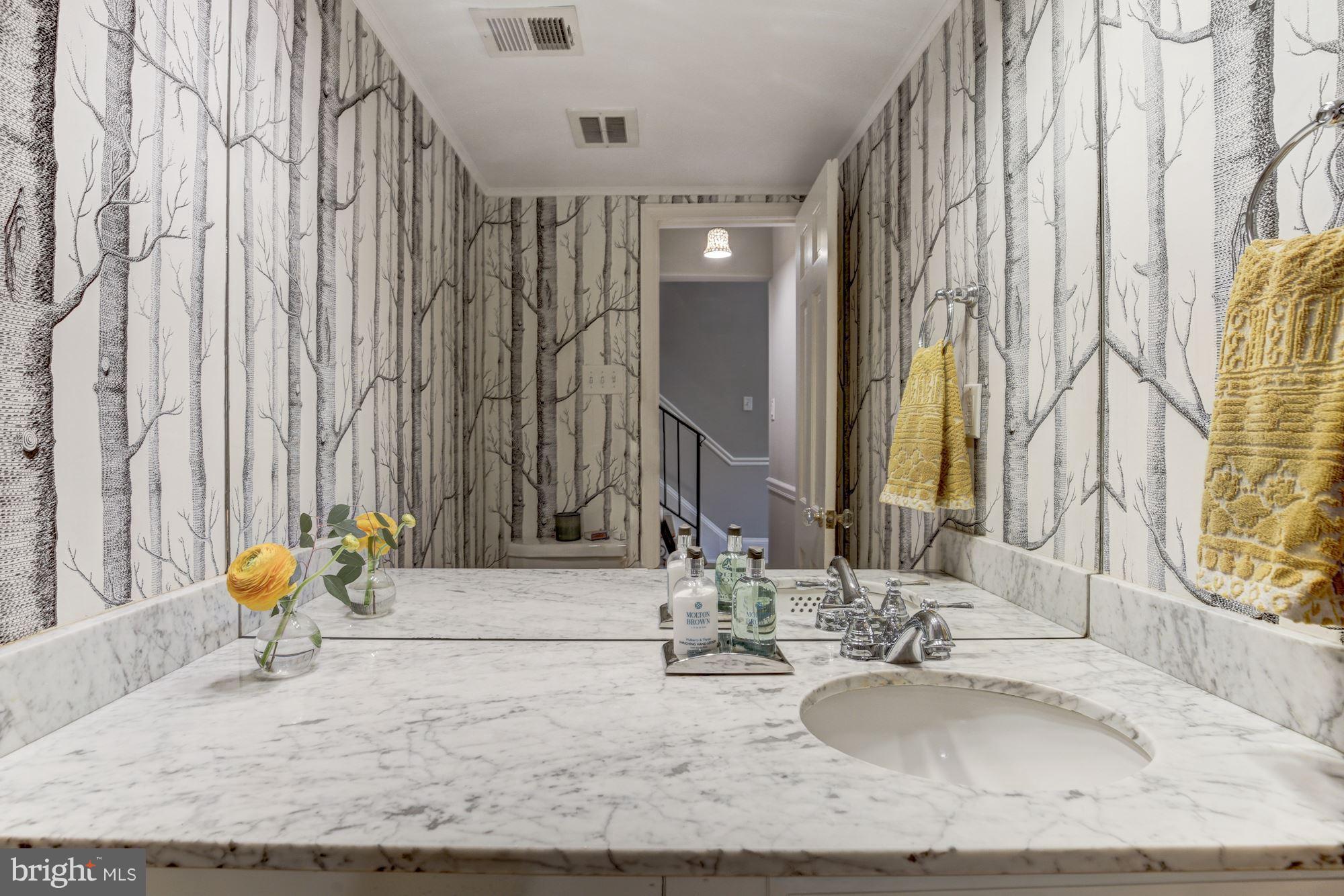 708 9th Street Southeast Washington, DC 20003 - Photo 4 of 17 Cute Powder Room