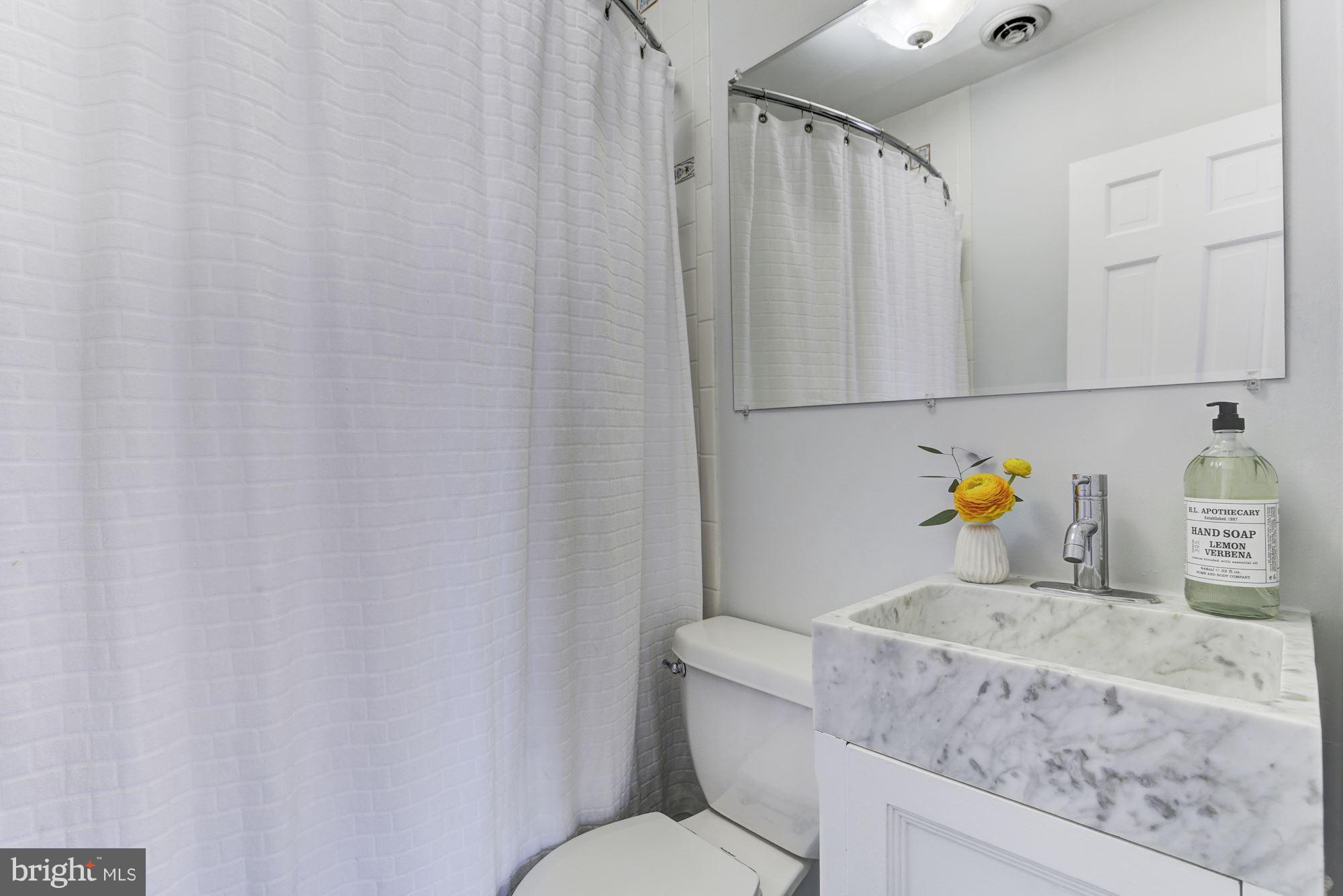 708 9th Street Southeast Washington, DC 20003 - Photo 9 of 17 En-Suite Master Bath