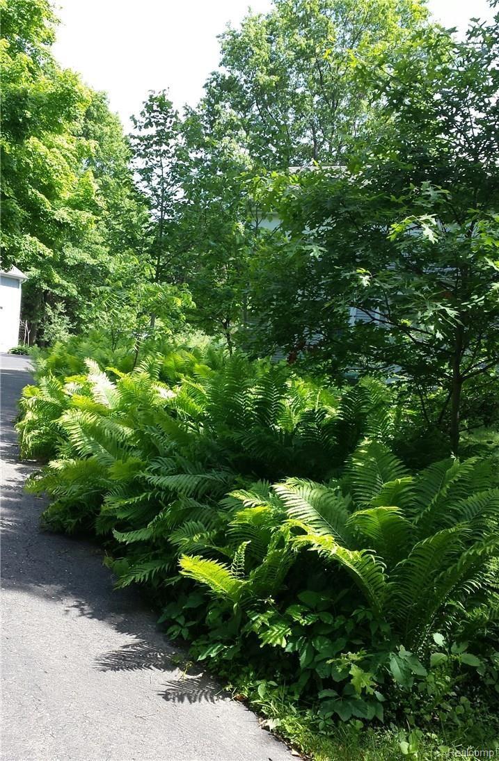 10405 North Rushton Road North South Lyon, MI 48178 - Photo 26 of 28 beautiful landscaped driveway