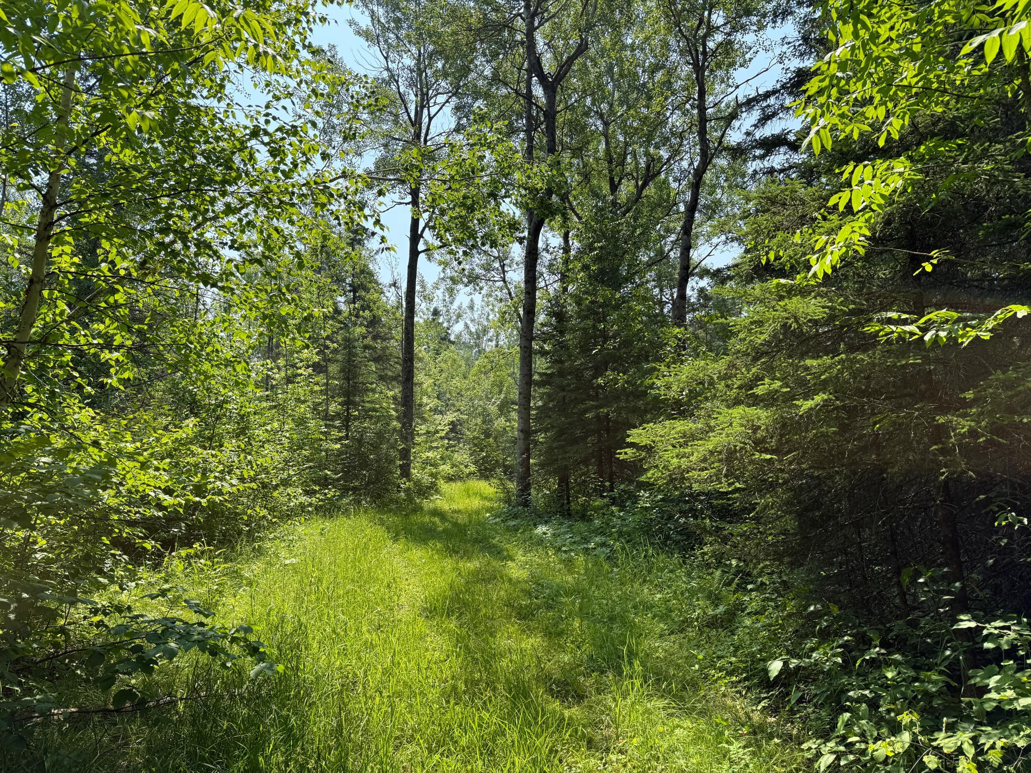 3437 Blueberry Hill Road Two Harbors, MN 55616 - Photo 104 of 105