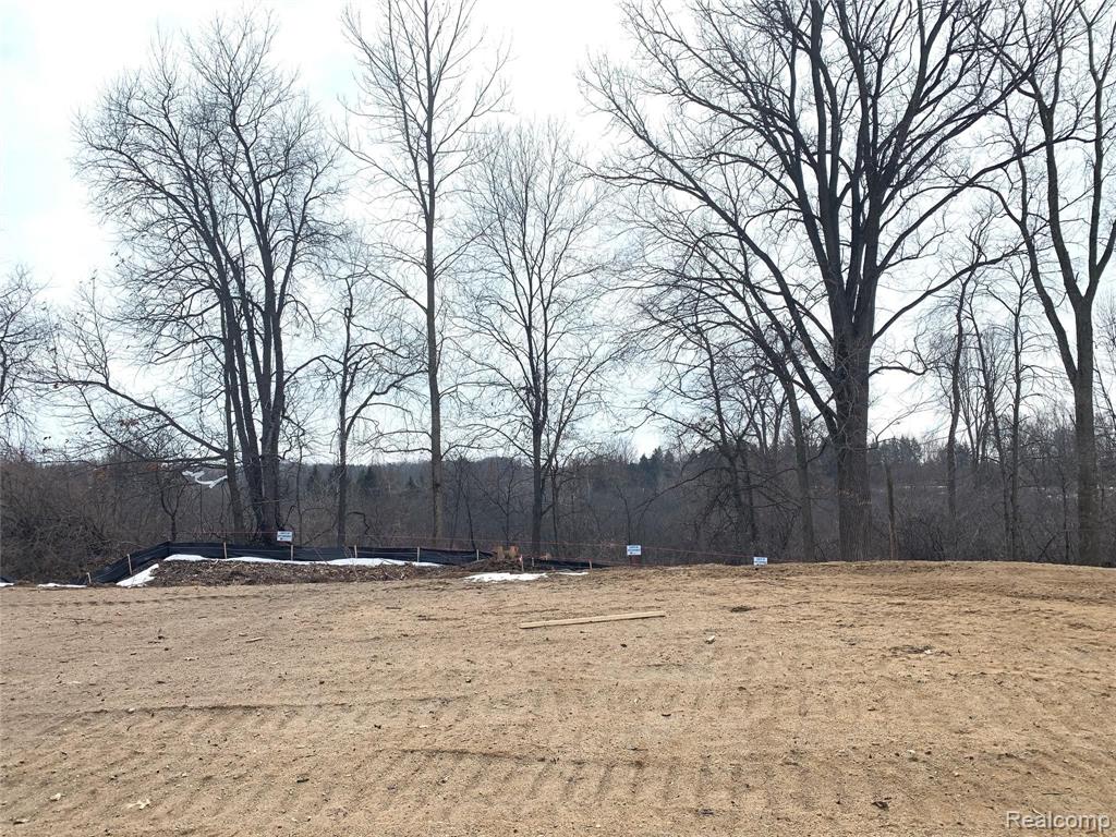 0 Chestnut Springs Drive Howell, MI 48843 - Photo 8 of 8