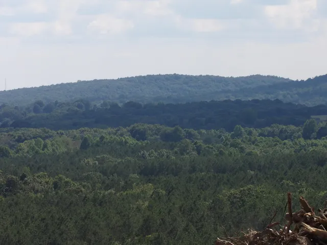 $118,900 | Lot 18 Summer City Road, Evensville, TN 37332