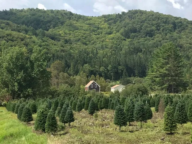 $189,900 | 92 Bishop Brook Road, Stewartstown, NH 03576