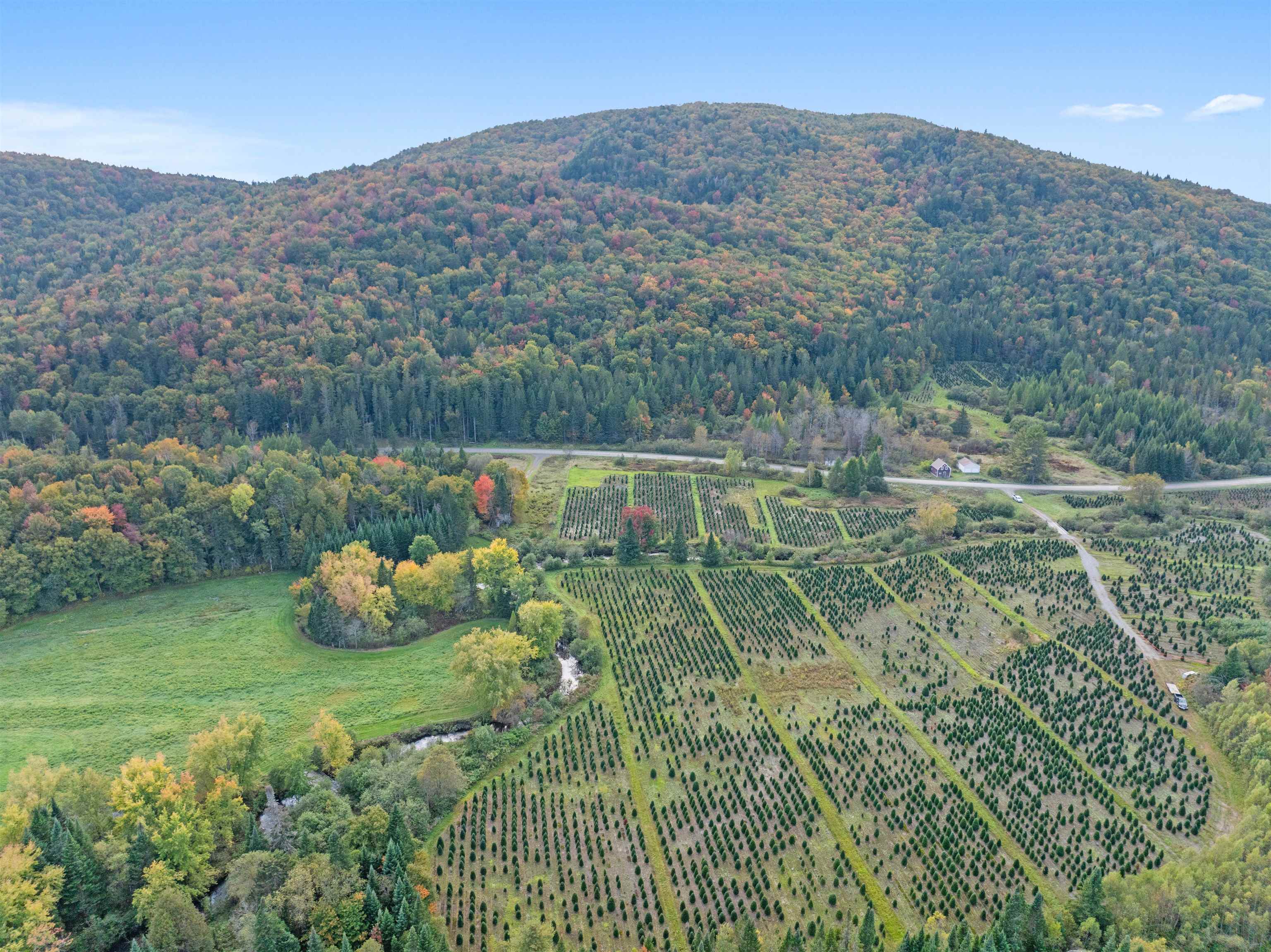 92 Bishop Brook Road Stewartstown, NH 03576 - Photo 30 of 50