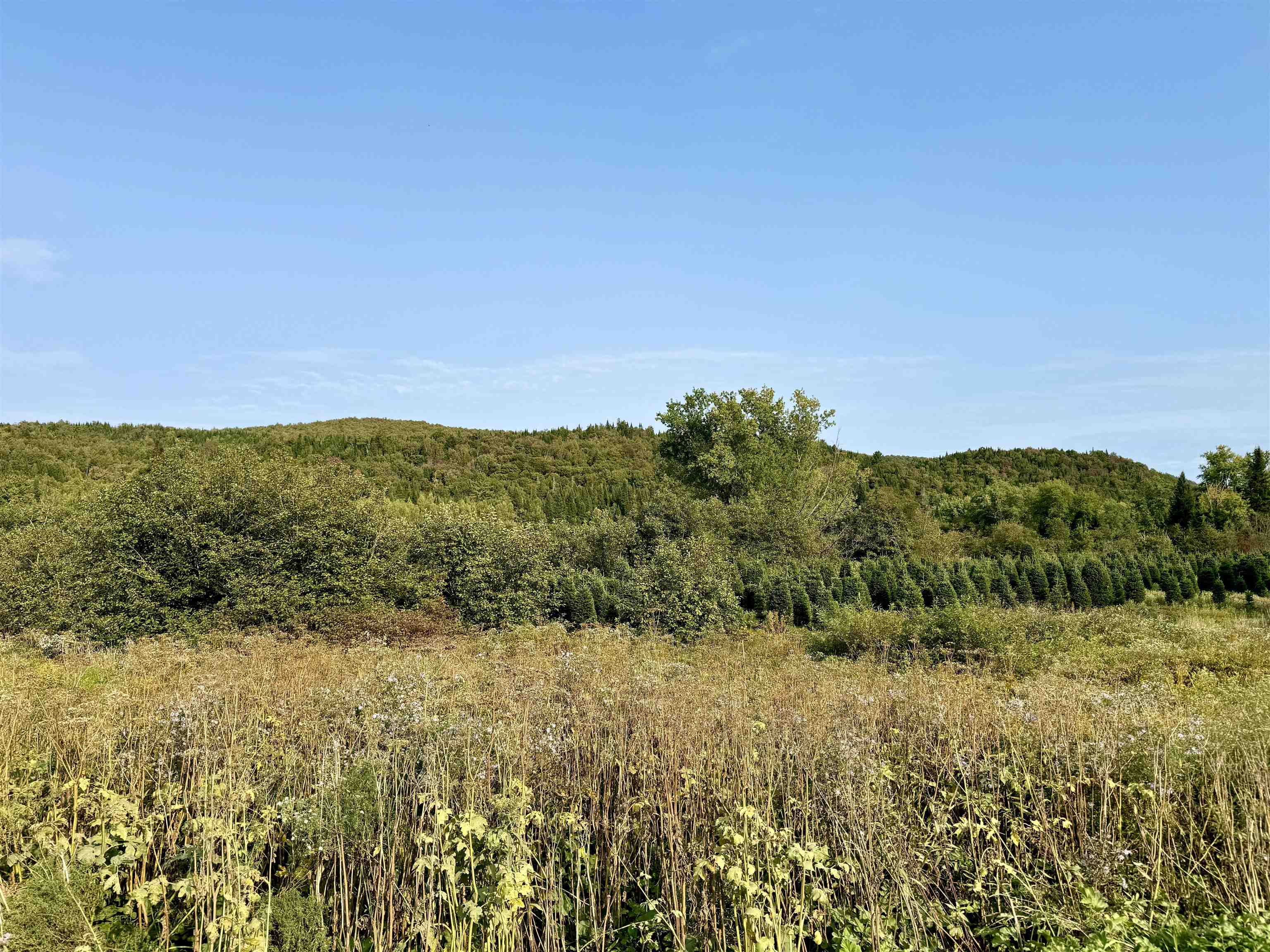 92 Bishop Brook Road Stewartstown, NH 03576 - Photo 39 of 50