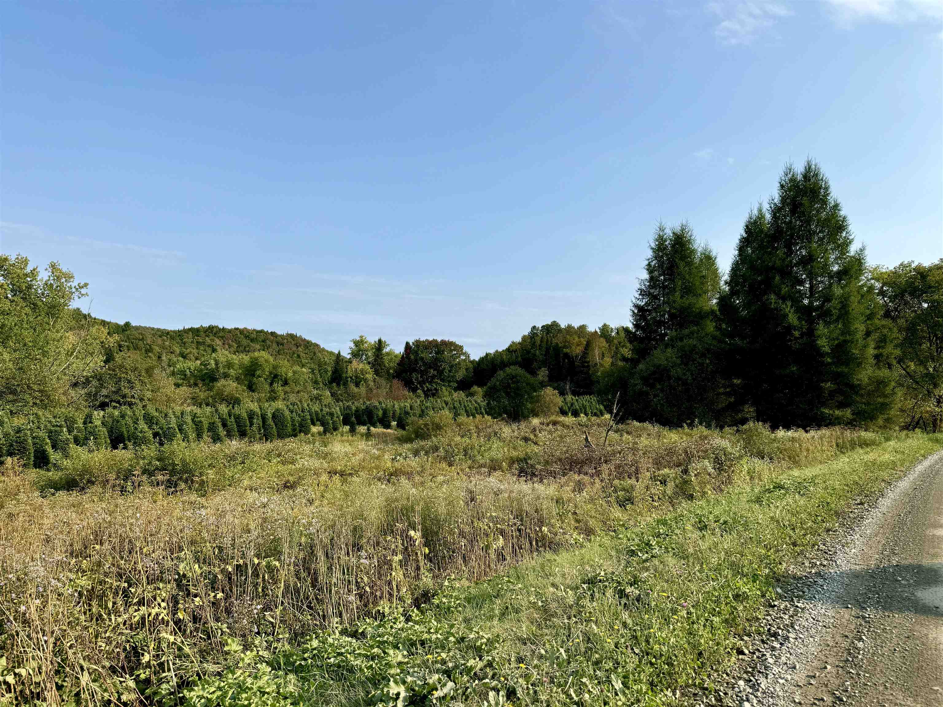 92 Bishop Brook Road Stewartstown, NH 03576 - Photo 40 of 50