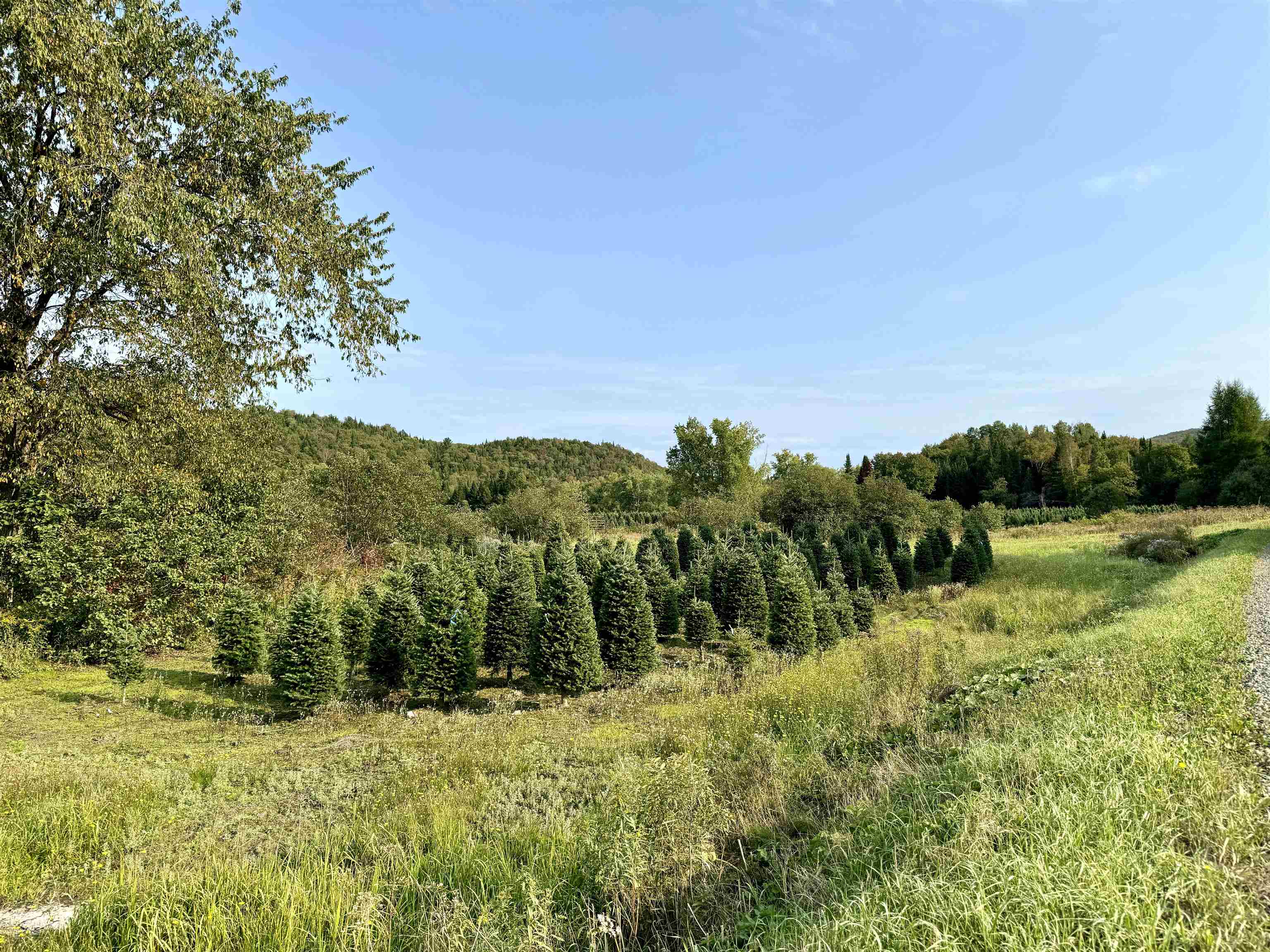92 Bishop Brook Road Stewartstown, NH 03576 - Photo 44 of 50