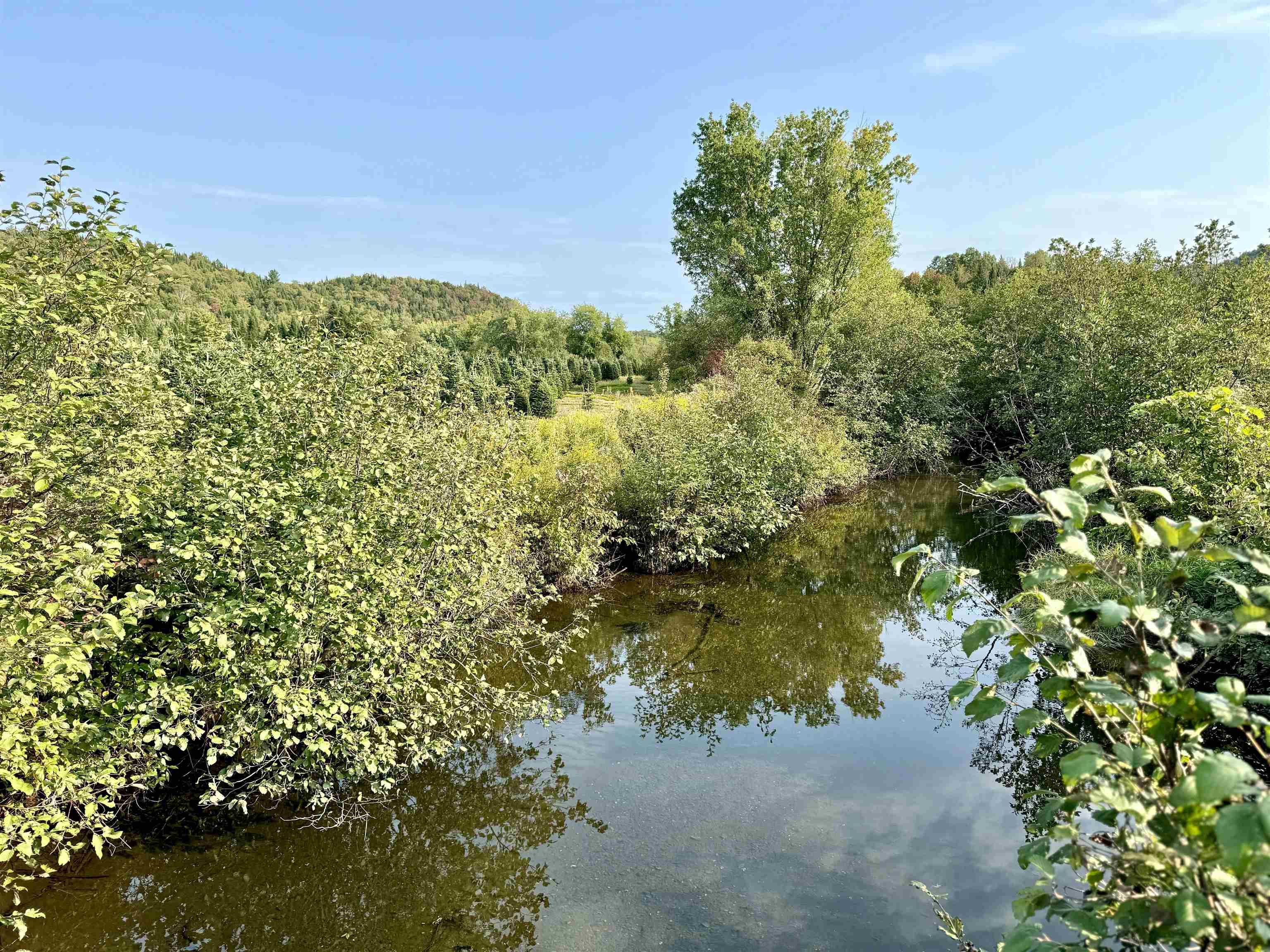 92 Bishop Brook Road Stewartstown, NH 03576 - Photo 45 of 50