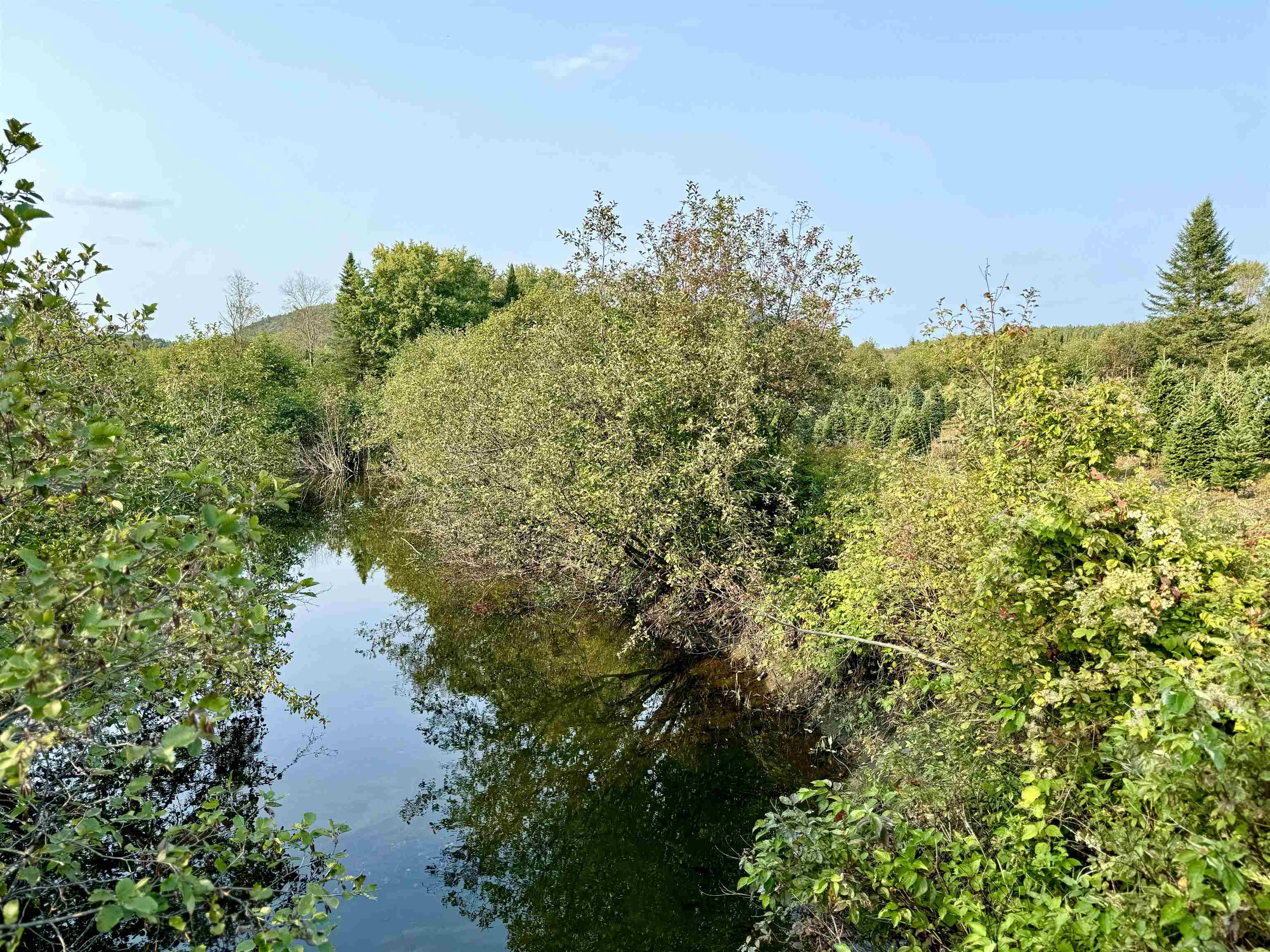 92 Bishop Brook Road Stewartstown, NH 03576 - Photo 46 of 50