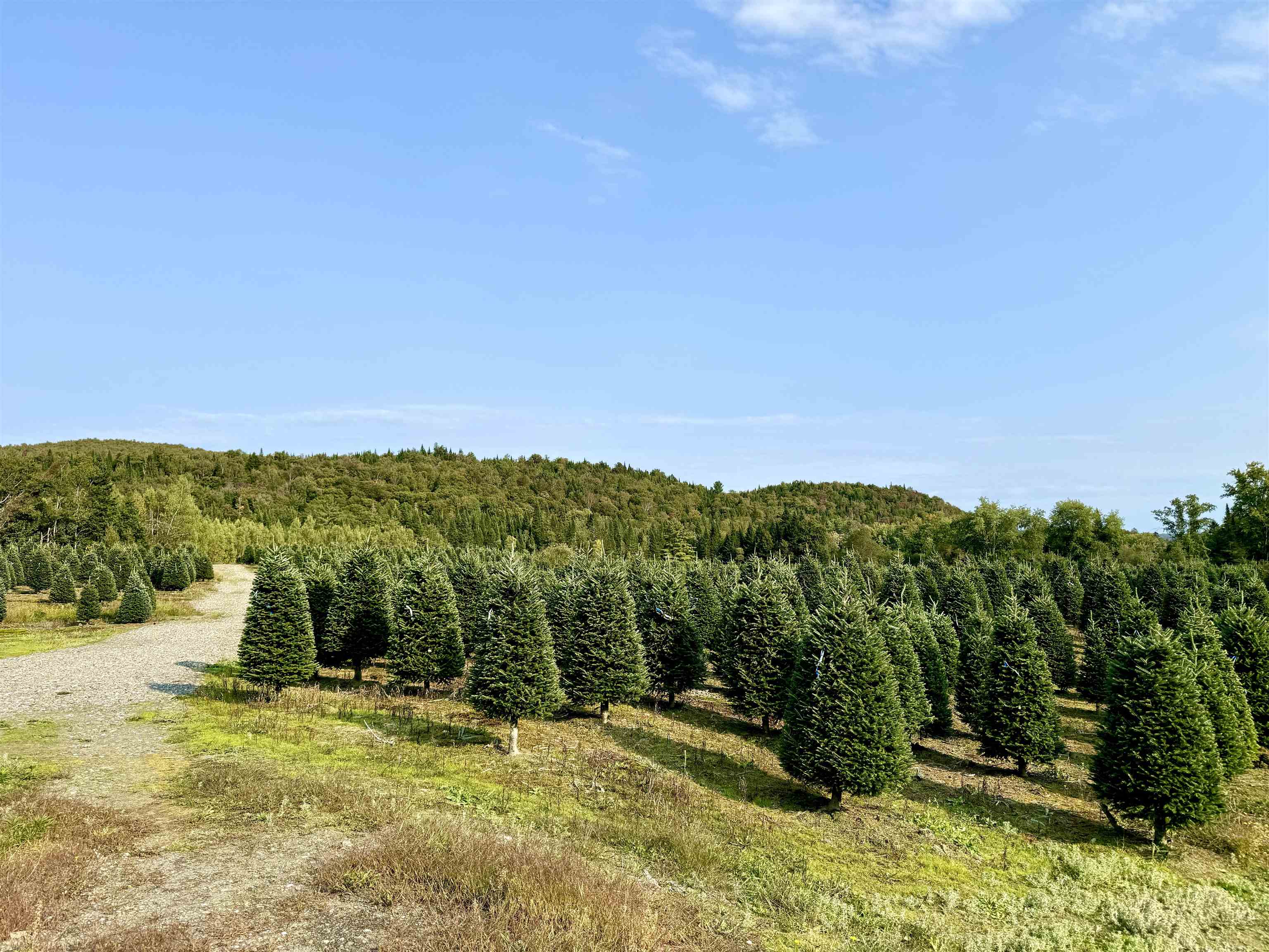 92 Bishop Brook Road Stewartstown, NH 03576 - Photo 47 of 50