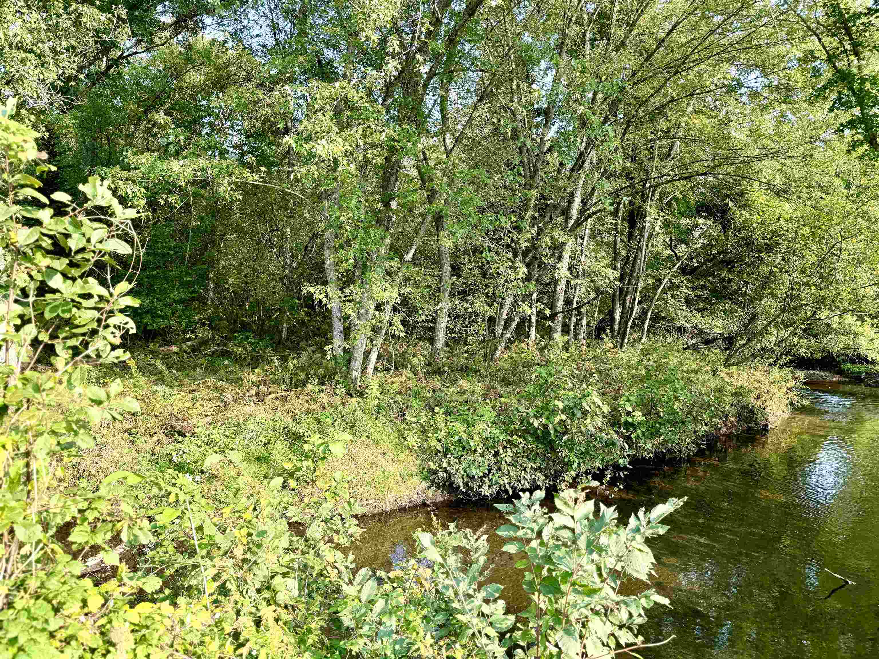 92 Bishop Brook Road Stewartstown, NH 03576 - Photo 50 of 50