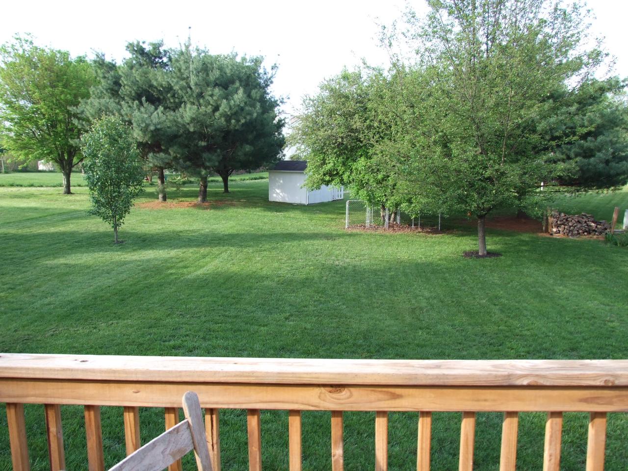 7818 Barrens Road Roanoke, VA 24019 - Photo 3 of 11 BACK YARD VIEW