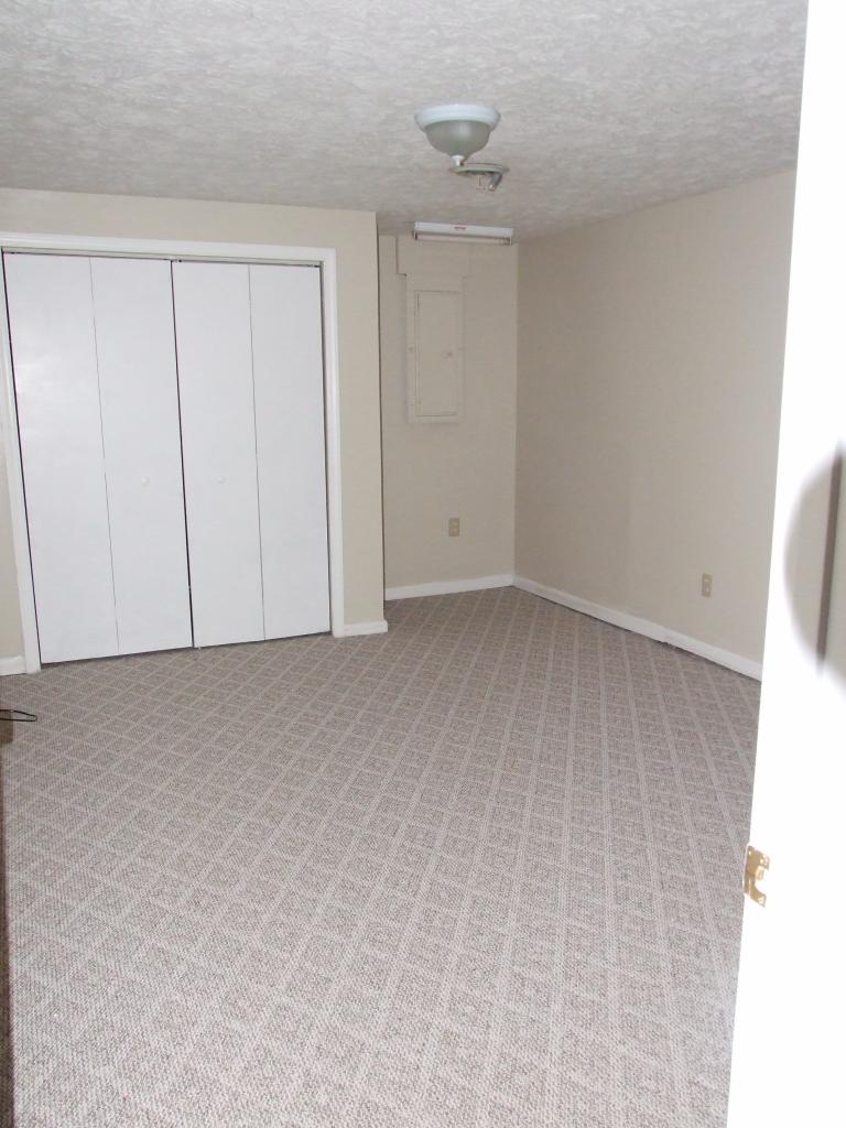 7818 Barrens Road Roanoke, VA 24019 - Photo 9 of 11 LOWER BEDROOM