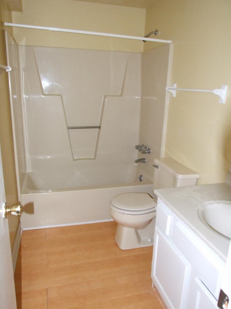 7818 Barrens Road Roanoke, VA 24019 - Photo 10 of 11 LOWER BATH