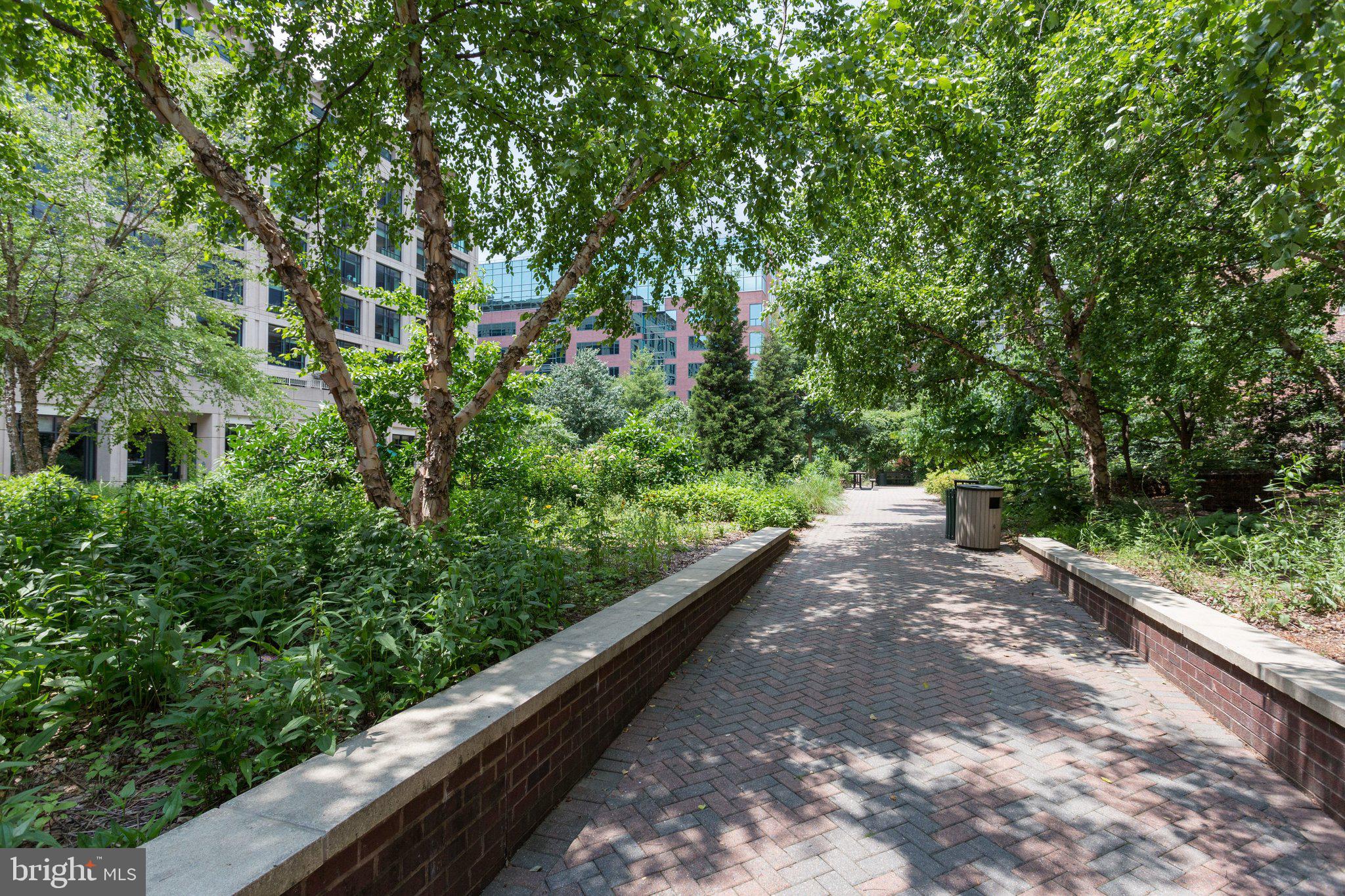 851 North Glebe Road, Unit 812 Arlington, VA 22203 - Photo 32 of 38 a view of a garden