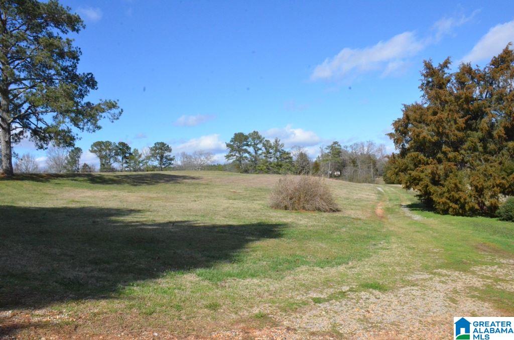 6477 Berney Station Road Talladega, AL 35160 - Photo 9 of 50