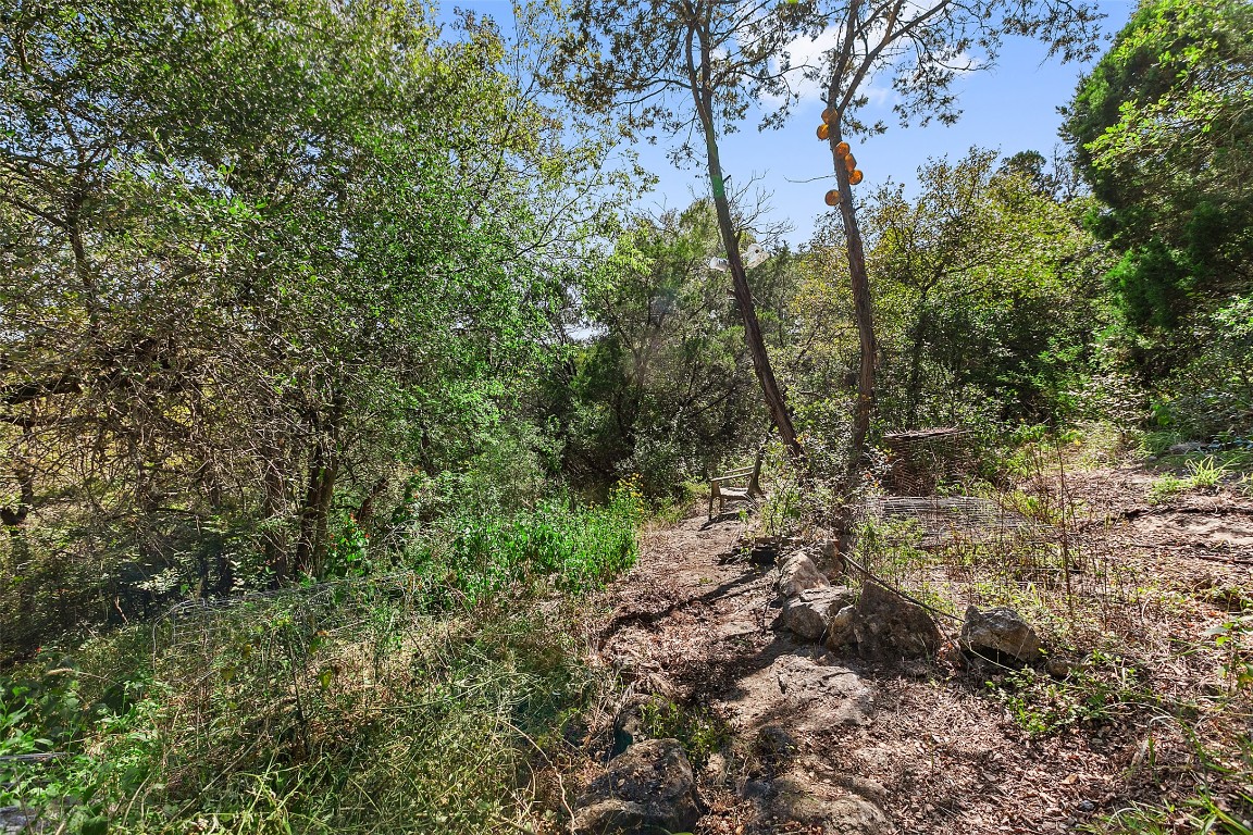 4301 Stearn's Lane Austin, TX 78745 - Photo 32 of 39 a view of a forest with lots of trees