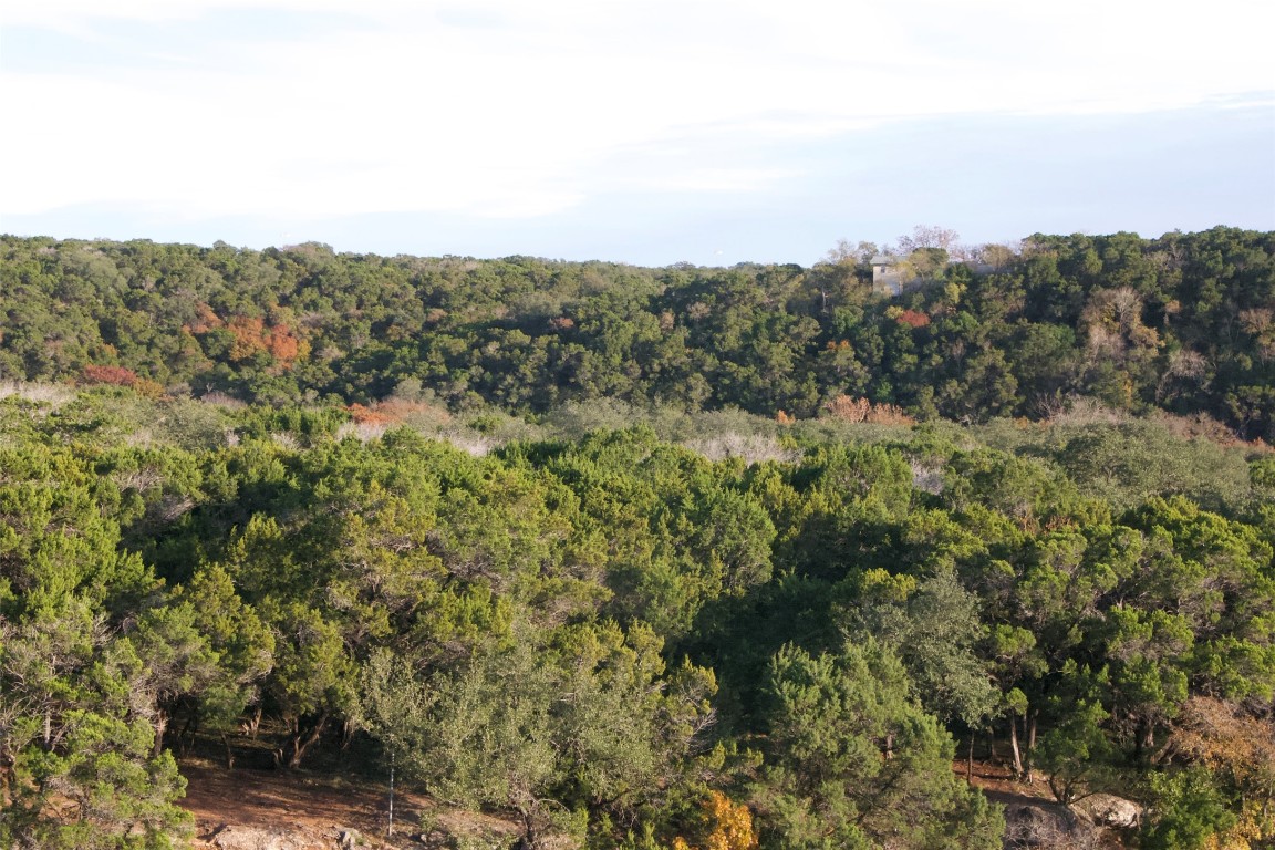 4301 Stearn's Lane Austin, TX 78745 - Photo 35 of 39 a view of a city with lush green forest
