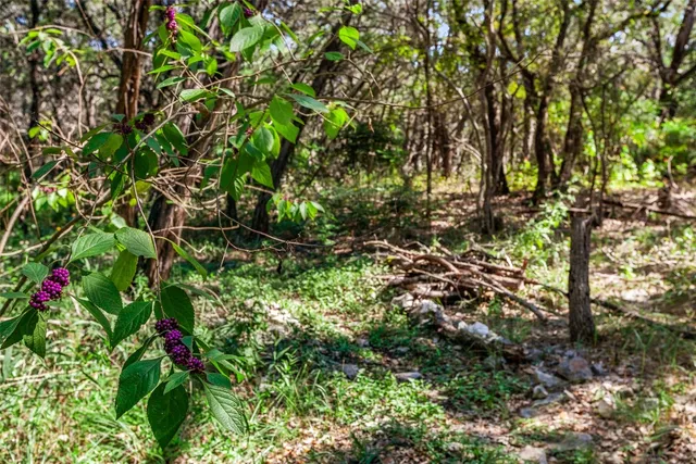 $2,750 | 4301 Stearn's Lane, Austin, TX 78745