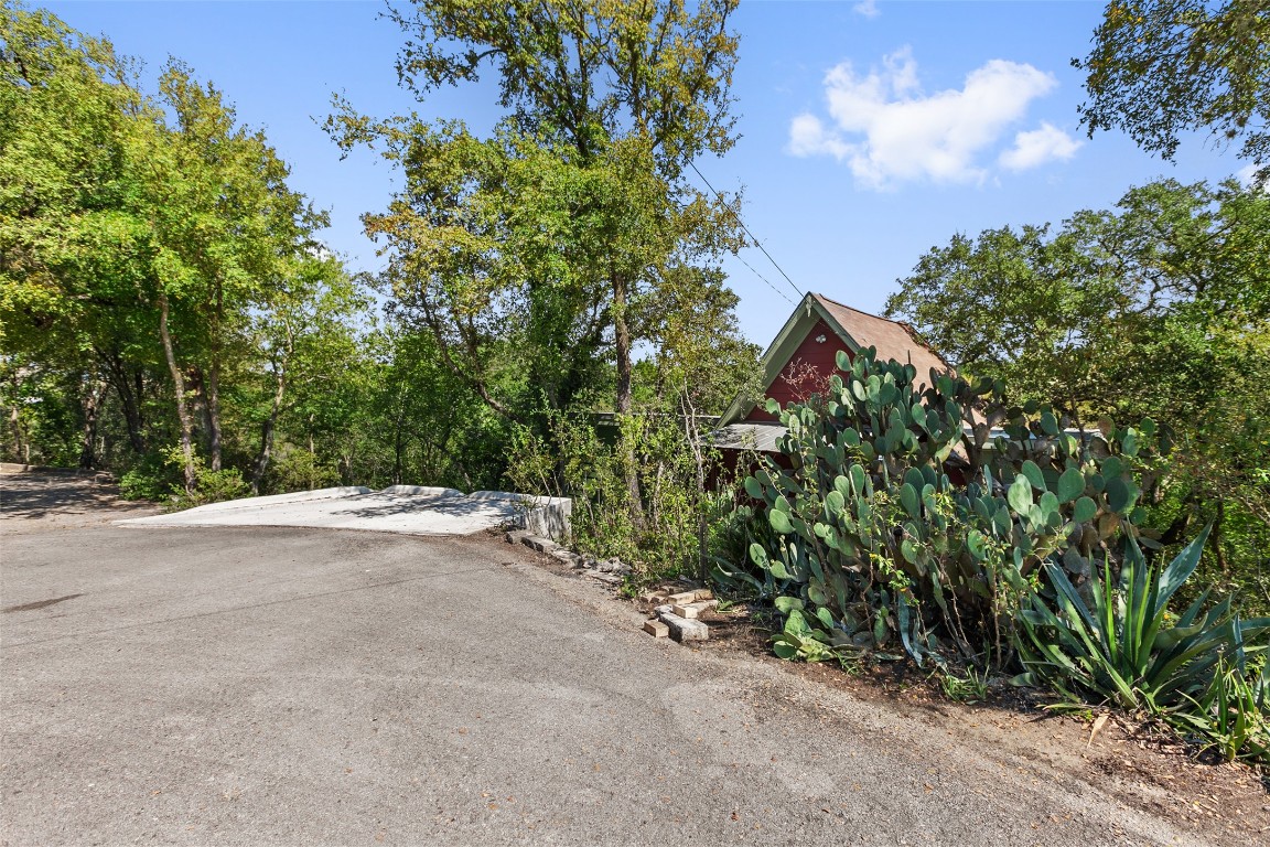 4301 Stearn's Lane Austin, TX 78745 - Photo 7 of 39 a view of a yard with plants and trees