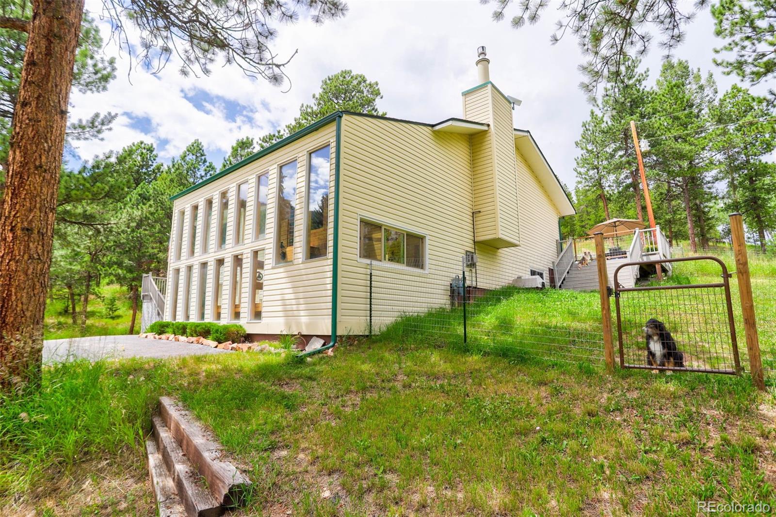 12079 Tecumseh Trail Conifer, CO 80433 - Photo 25 of 38 a view of a house with a small yard and a large tree