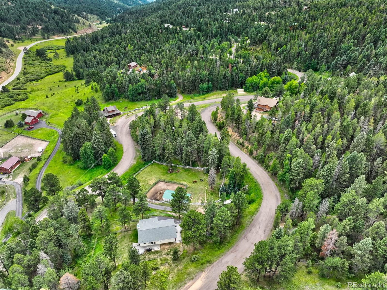 12079 Tecumseh Trail Conifer, CO 80433 - Photo 37 of 38 view of a garden with plants