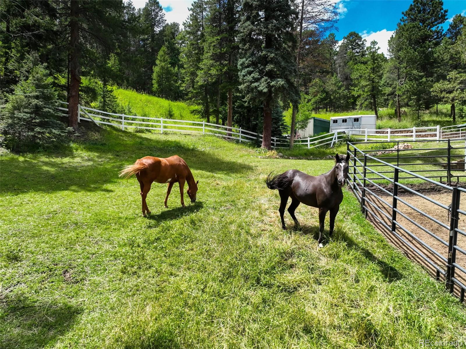 12079 Tecumseh Trail Conifer, CO 80433 - Photo 4 of 38 a swimming pool with outdoor seating and yard