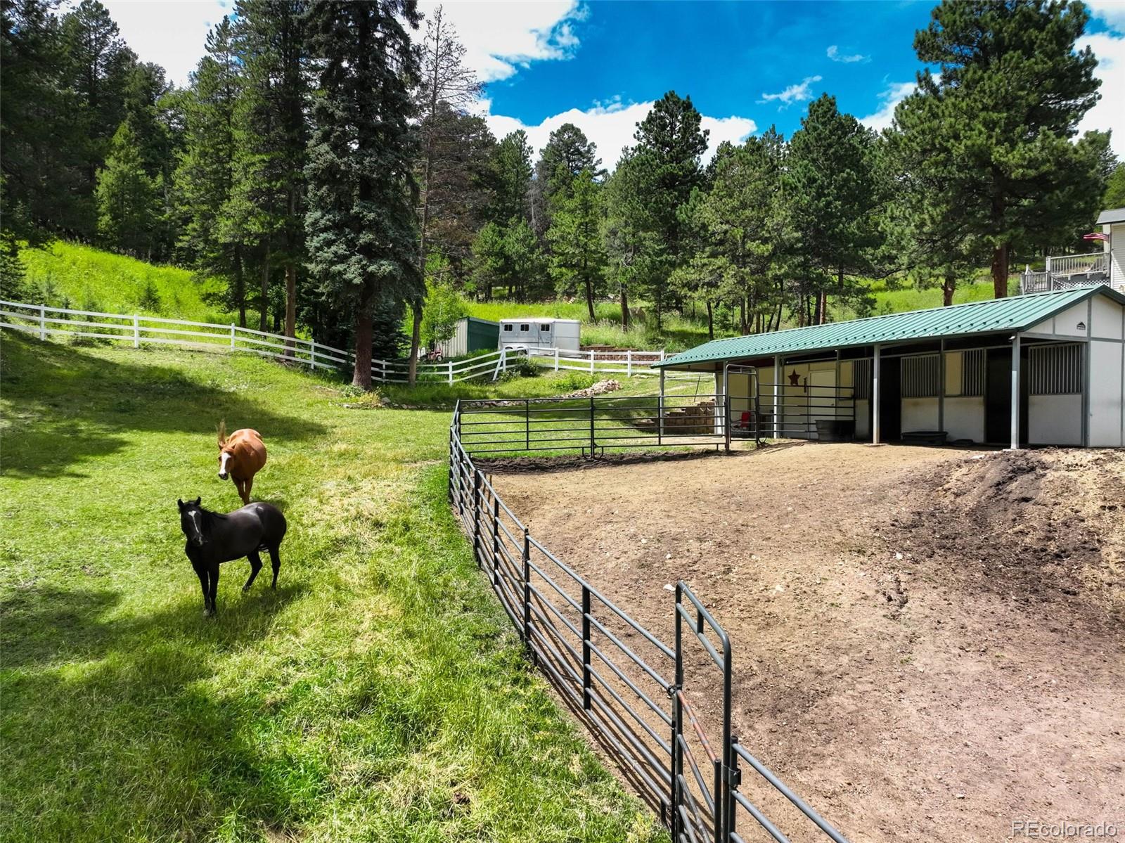 12079 Tecumseh Trail Conifer, CO 80433 - Photo 5 of 38 a view of a house with backyard and sitting area