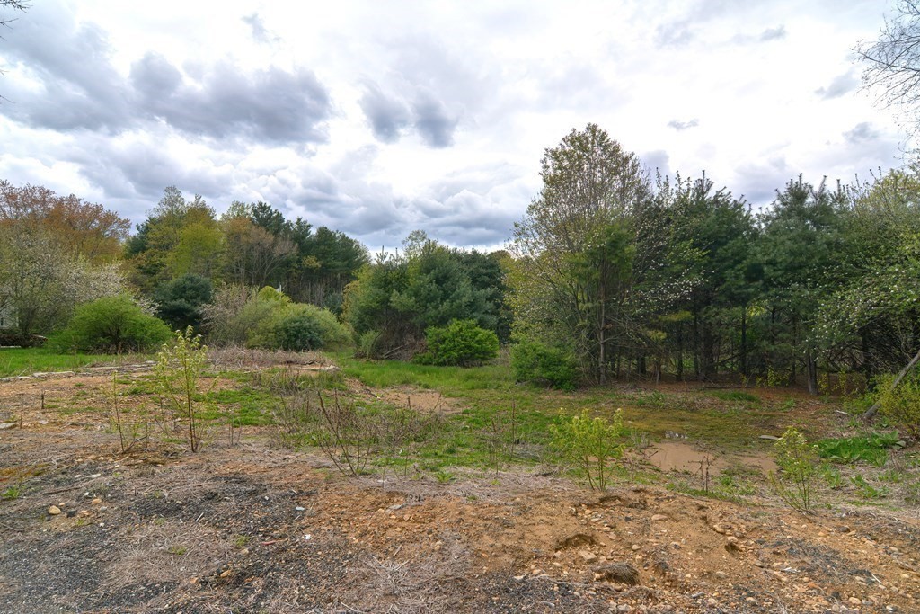 34 South Spencer Road Spencer, MA 01562 - Photo 30 of 34 a view of a big yard with lots of green space