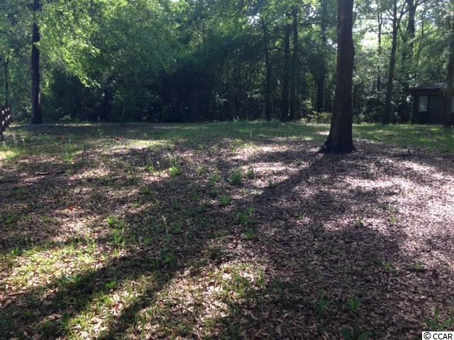 1790 Reddick Road Conway, SC 29526 - Photo 22 of 25 Gallery Image 22