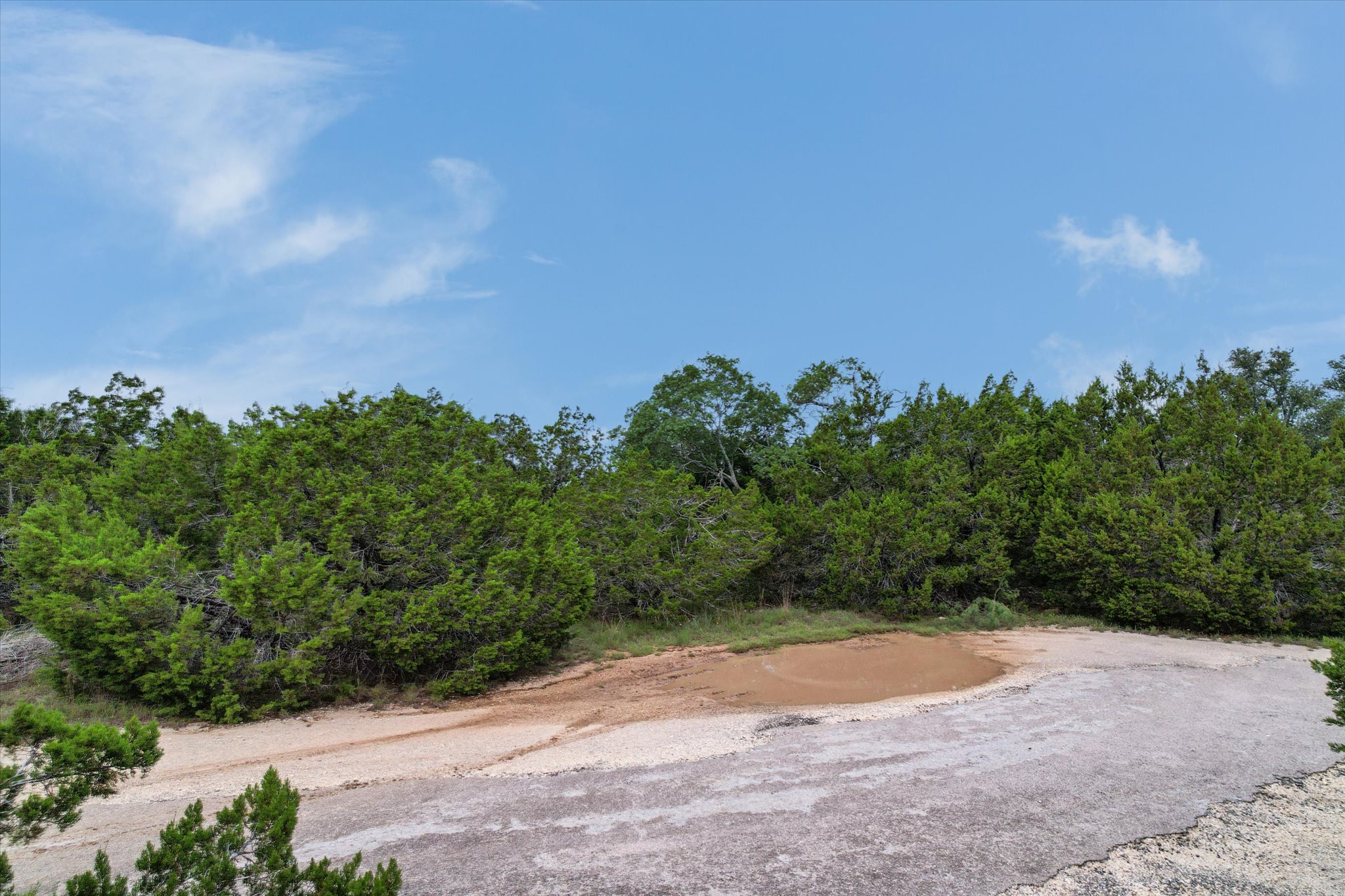 9404 Bar K Ranch Road Leander, TX 78645 - Photo 4 of 12 Mature trees and a tranquil pond define this undeveloped lot, offering a private natural retreat.